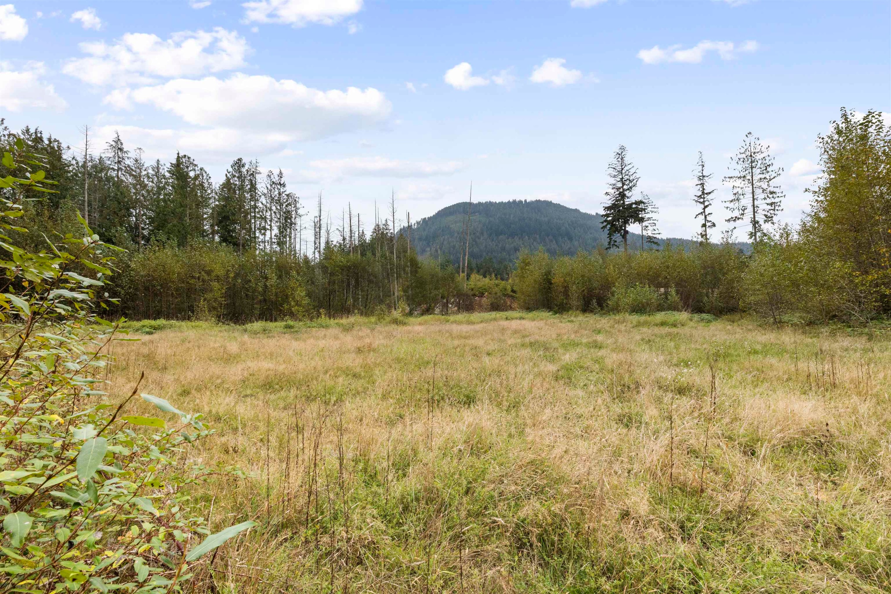 









32482


Dewdney Trunk

Road,
Mission,







BC
V2V 7E8

