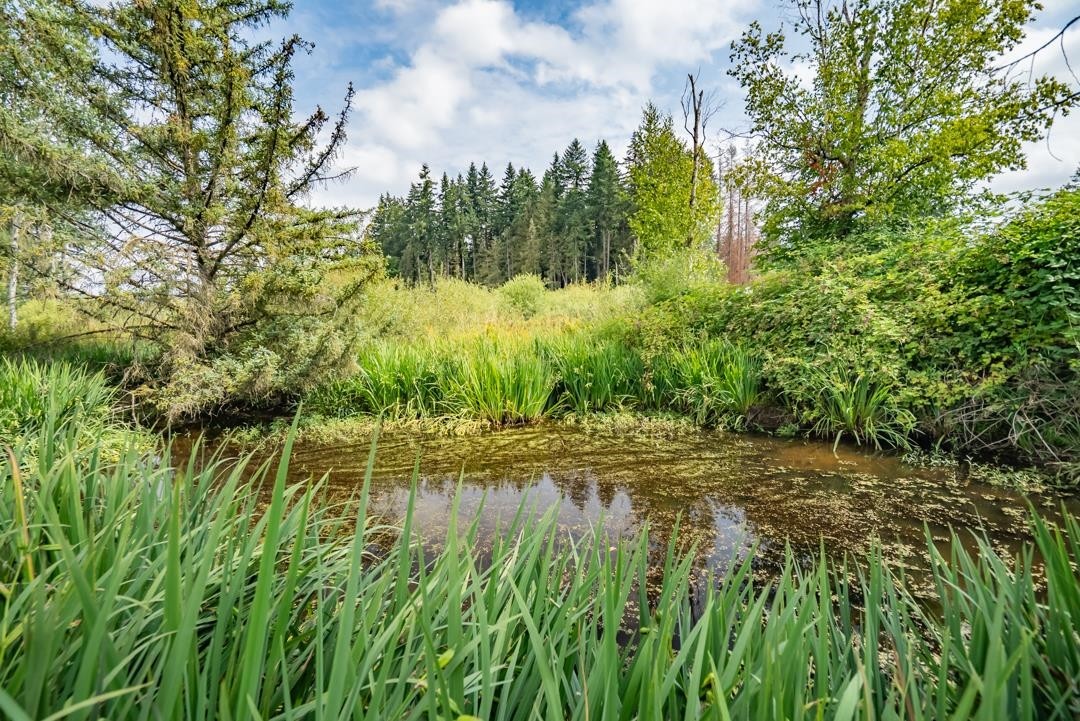 









26559


58

Avenue,
Langley,




BC
V4W 1V6

