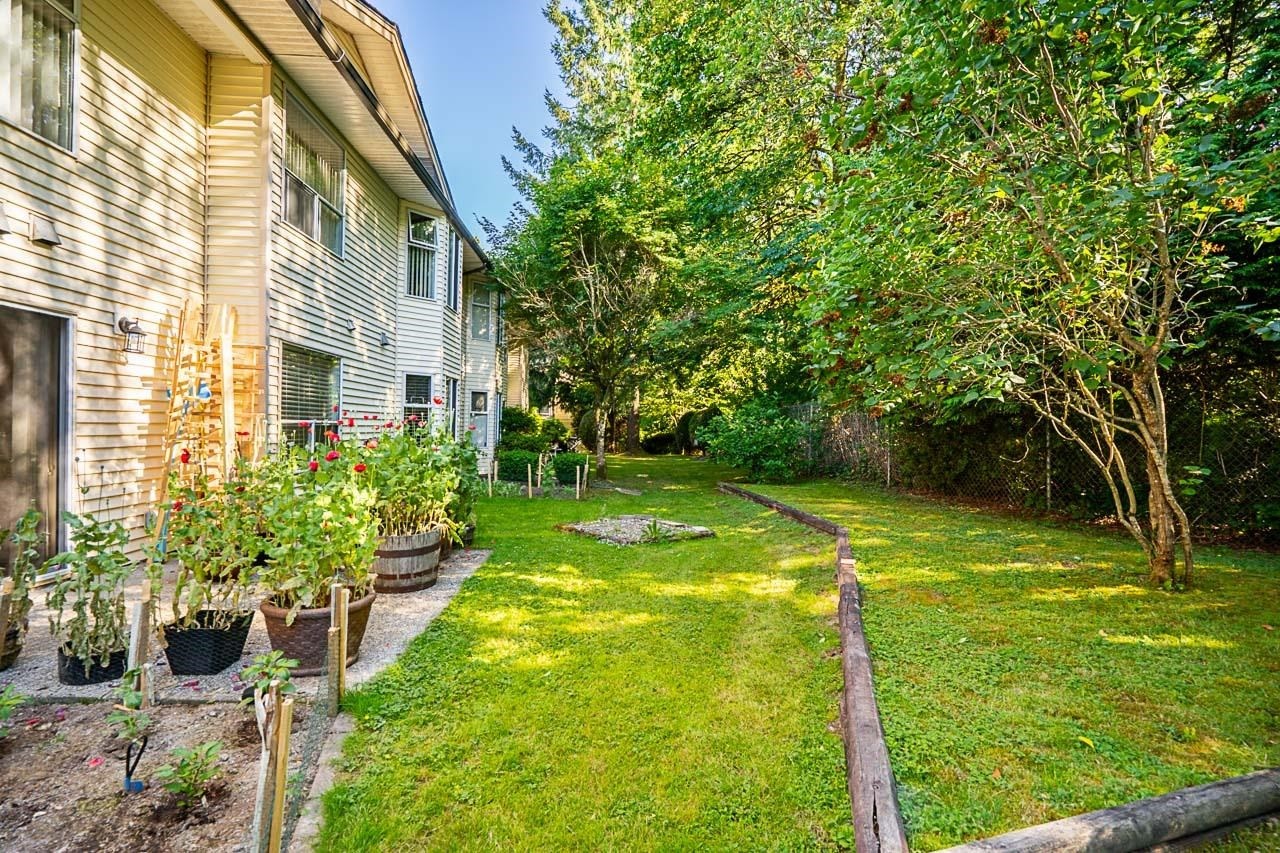 









6841


138

Street, 121,
Surrey,




BC
V3W 0A7

