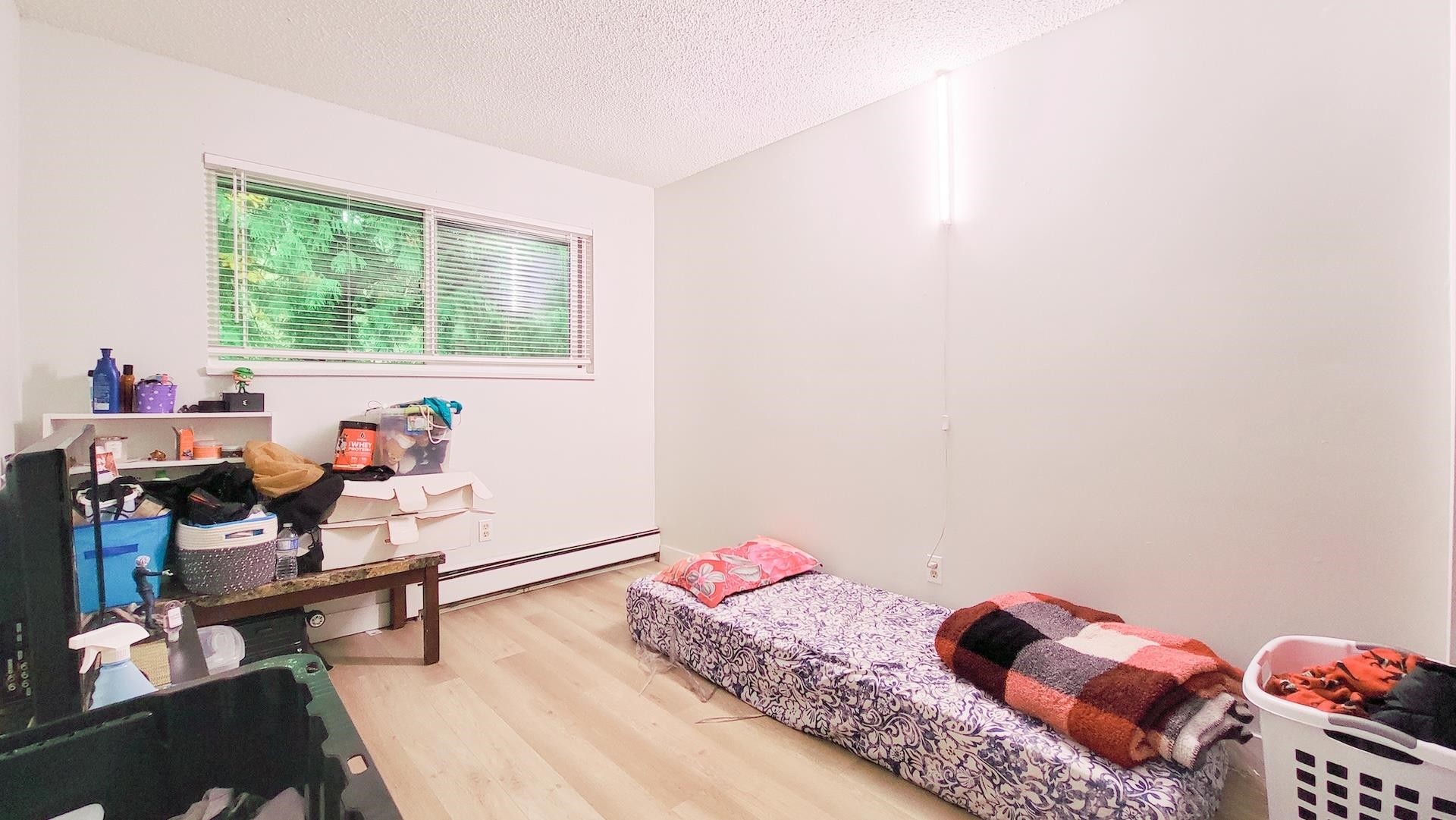 









33400


Bourquin

Place, 214,
Abbotsford,




BC
V2S 5G3

