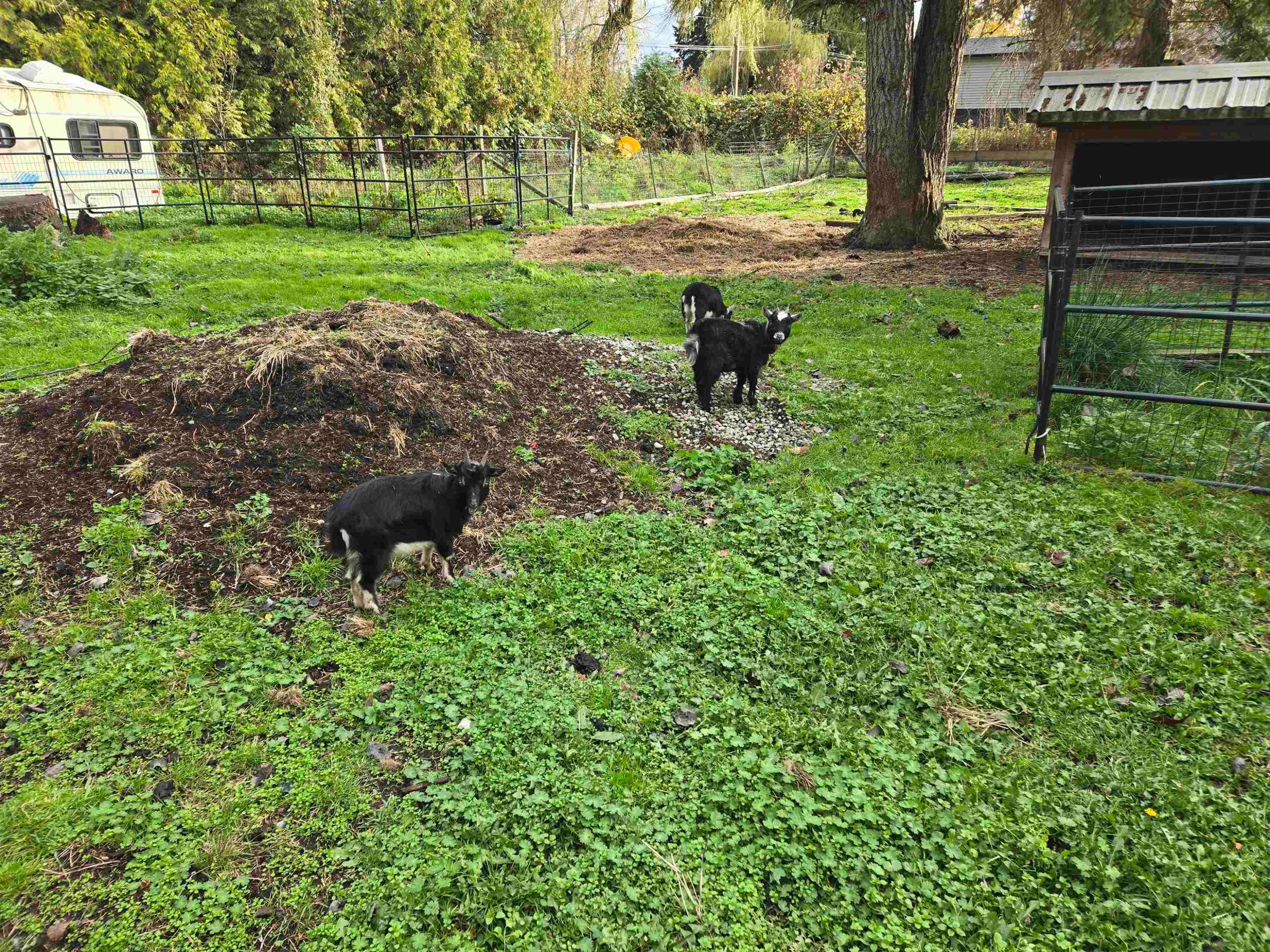 









2617


208

Street,
Langley,




BC
V2Z 2B1

