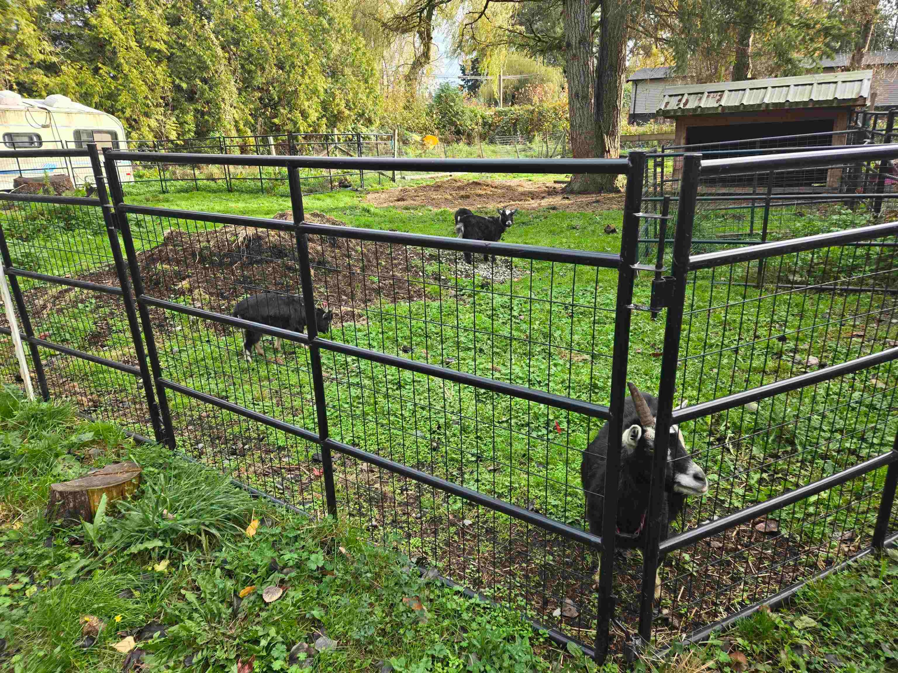 









2617


208

Street,
Langley,




BC
V2Z 2B1

