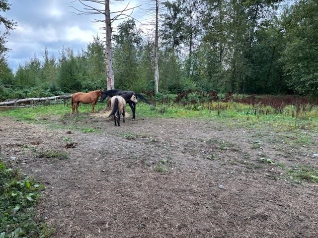 









2617


208

Street,
Langley,




BC
V2Z 2B1

