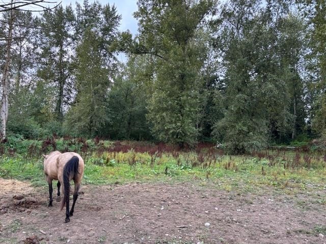 









2617


208

Street,
Langley,




BC
V2Z 2B1

