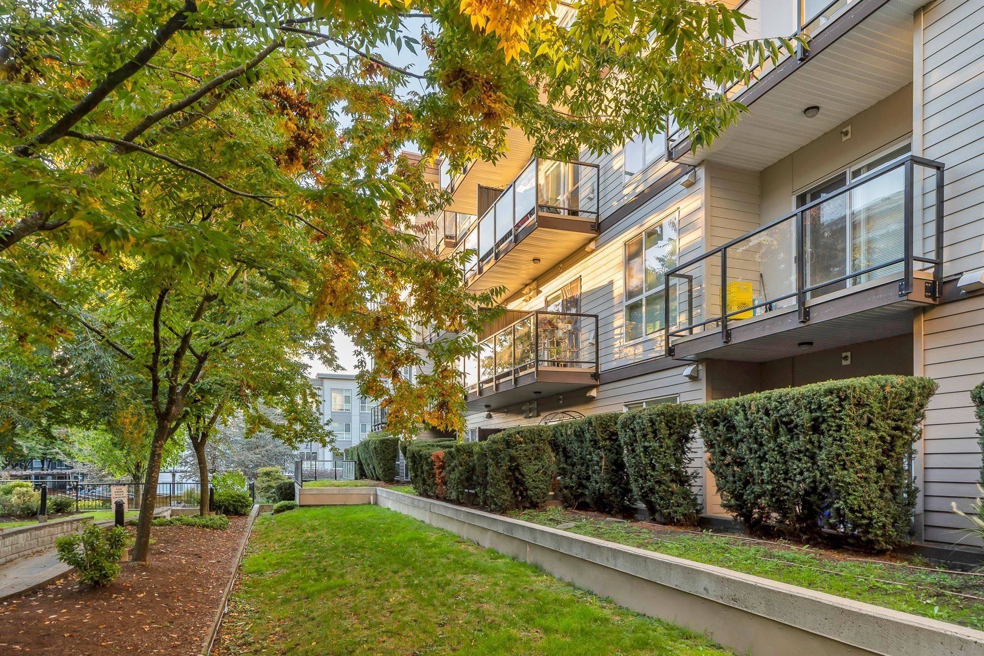 









13768


108

Avenue, 221,
Surrey,




BC
V3T 0L9

