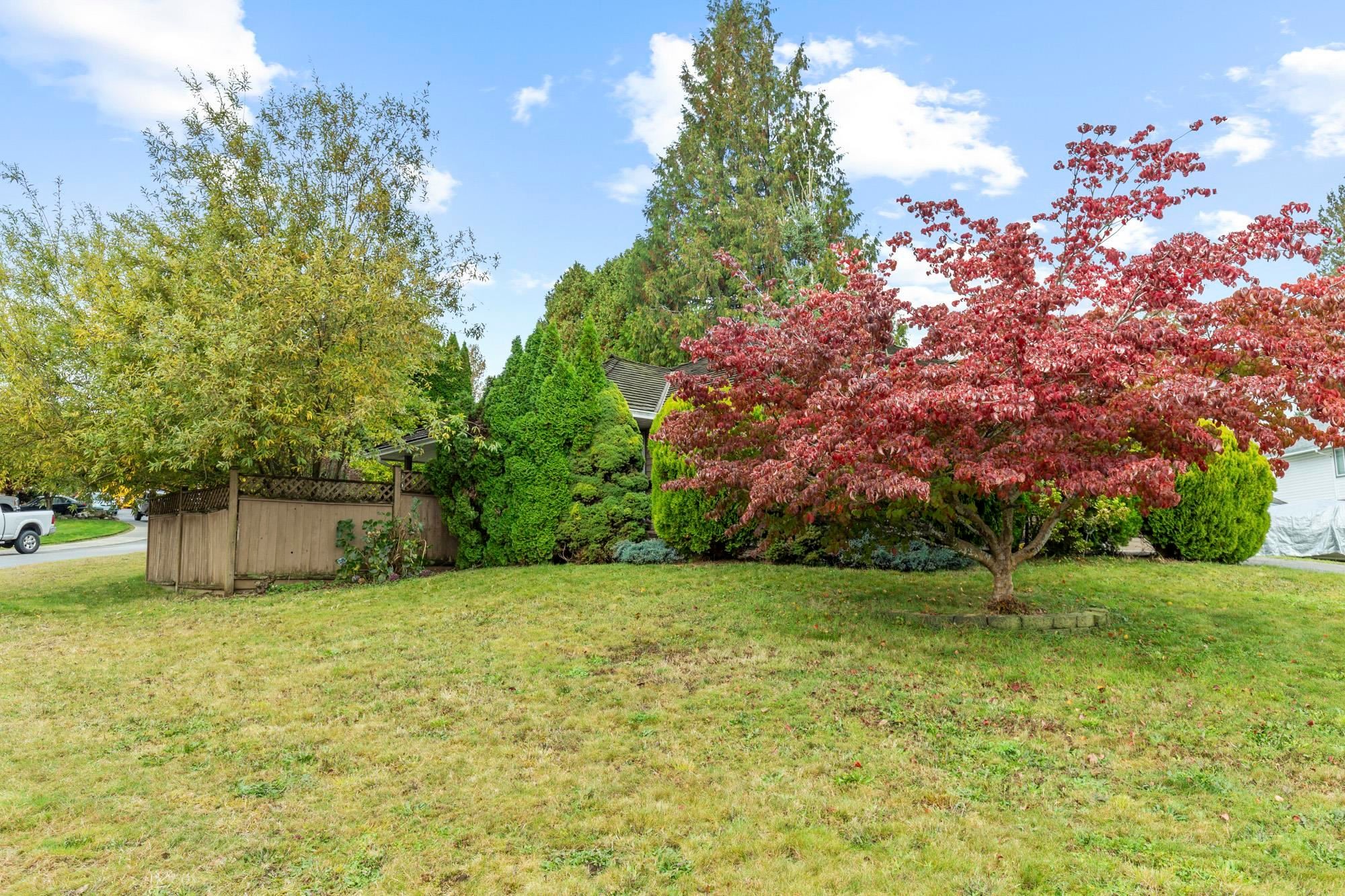 









32925


Orchid

Court,
Mission,




BC
V2V 7H8

