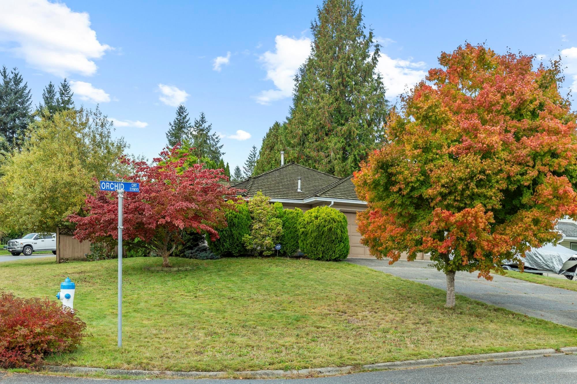 









32925


Orchid

Court,
Mission,




BC
V2V 7H8

