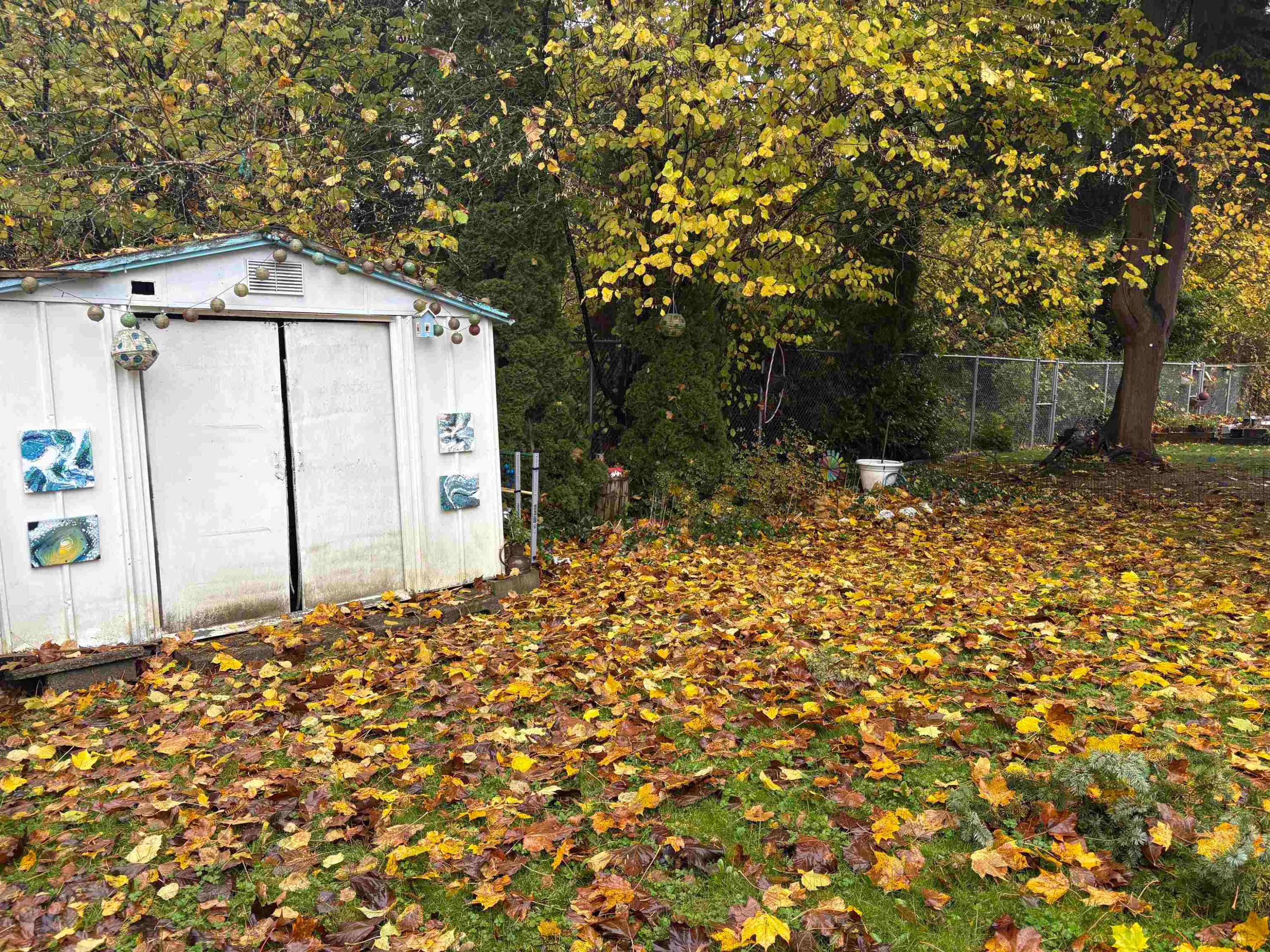 









7790


King George

Boulevard, 136,
Surrey,




BC
V3W 5Y4

