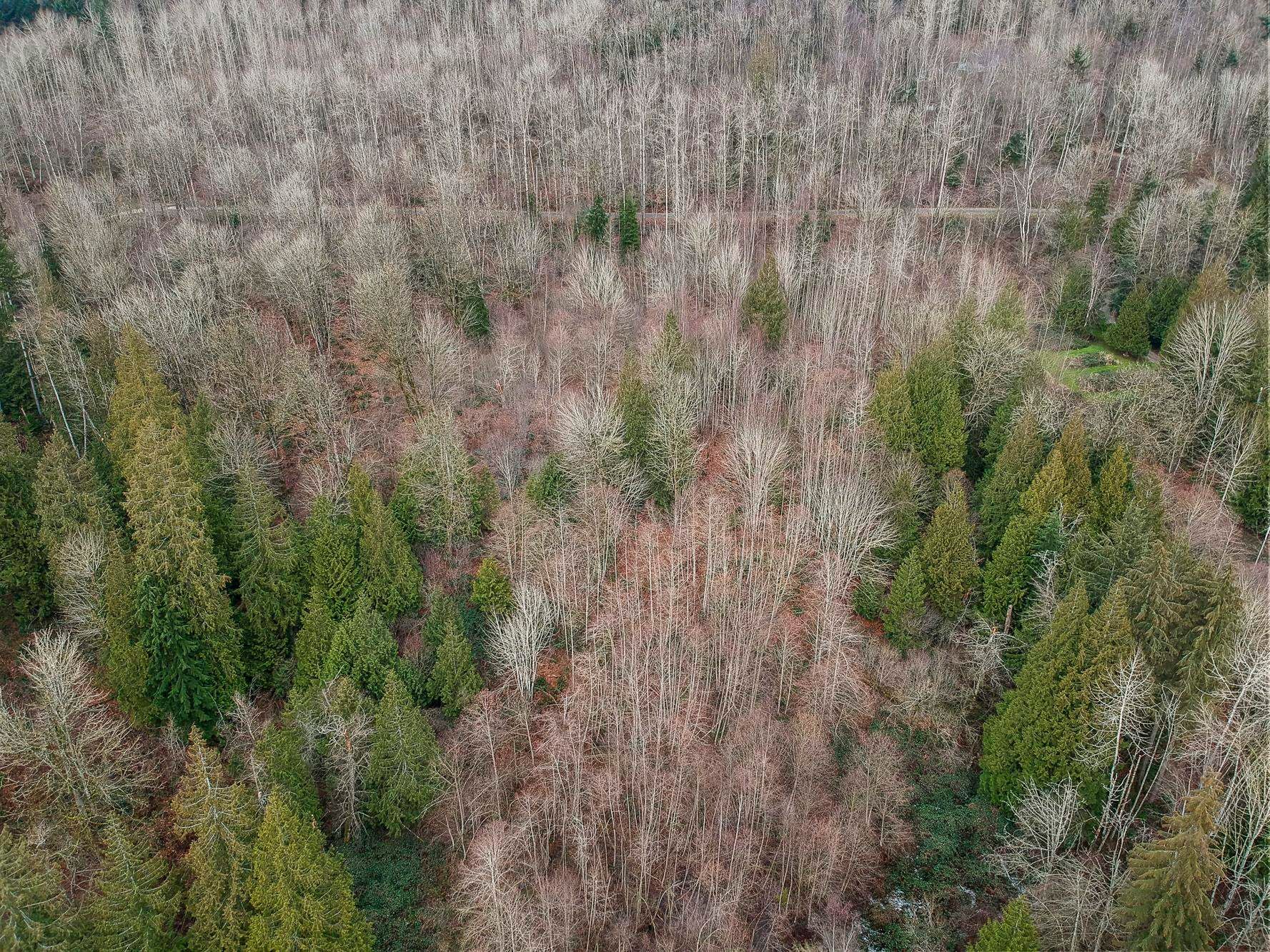 









30990


Olson

Avenue,
Mission,







BC
V4S 1E8

