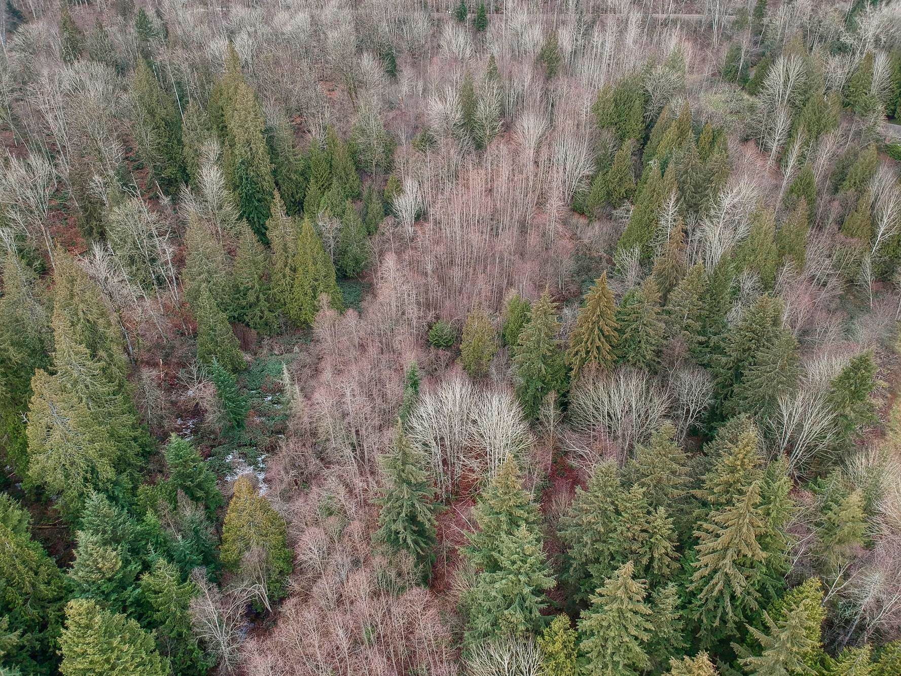 









30990


Olson

Avenue,
Mission,







BC
V4S 1E8

