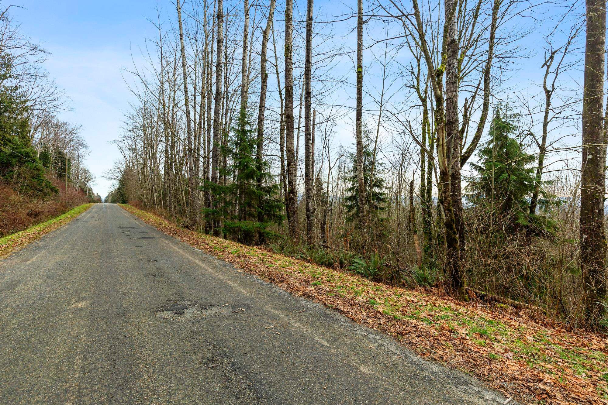 









30990


Olson

Avenue,
Mission,







BC
V4S 1E8

