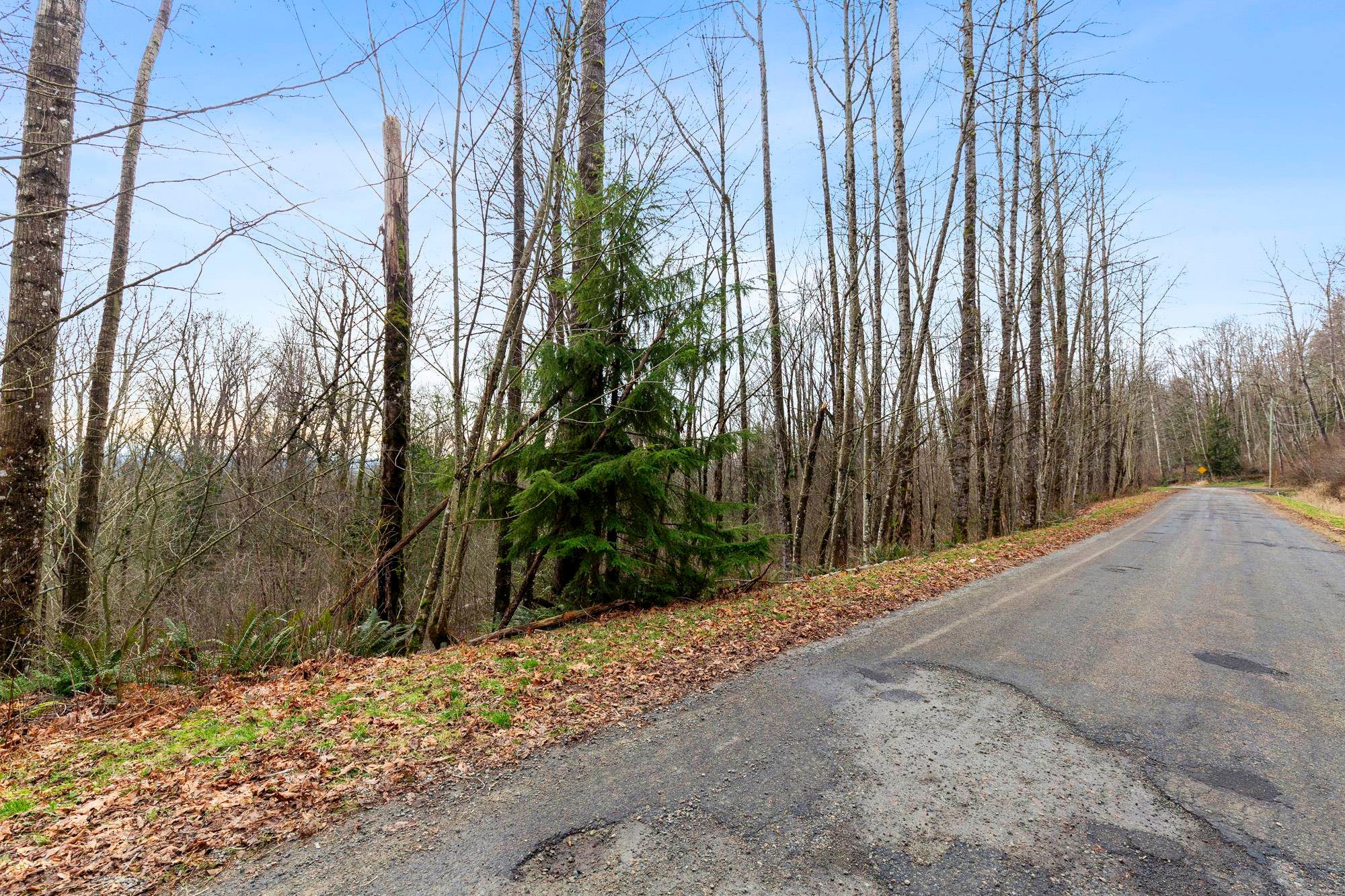 









30990


Olson

Avenue,
Mission,







BC
V4S 1E8

