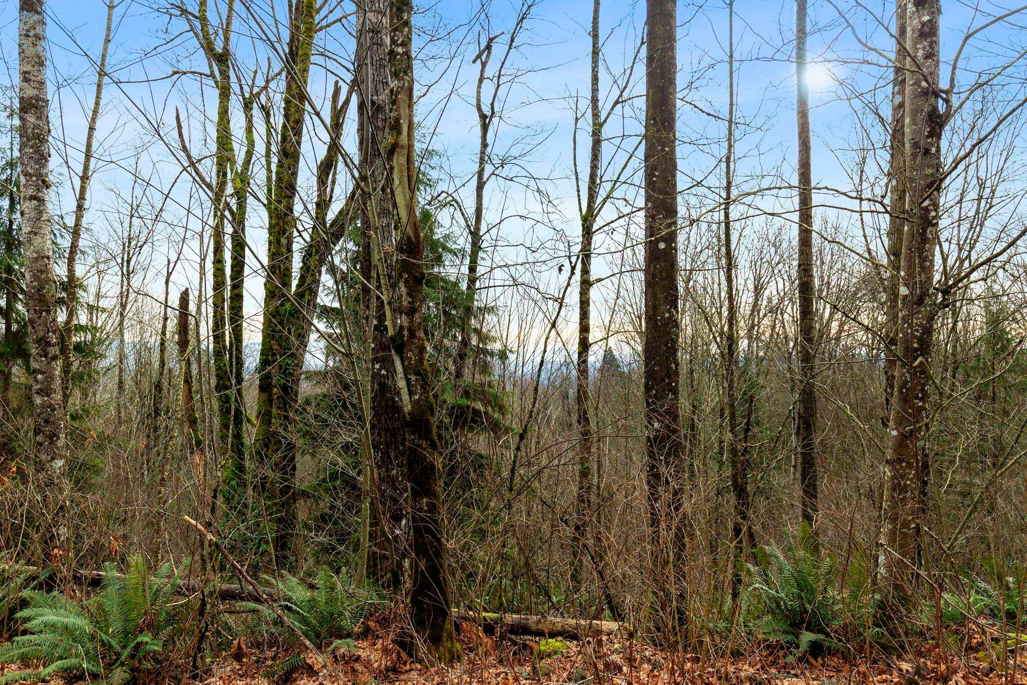 









30990


Olson

Avenue,
Mission,







BC
V4S 1E8

