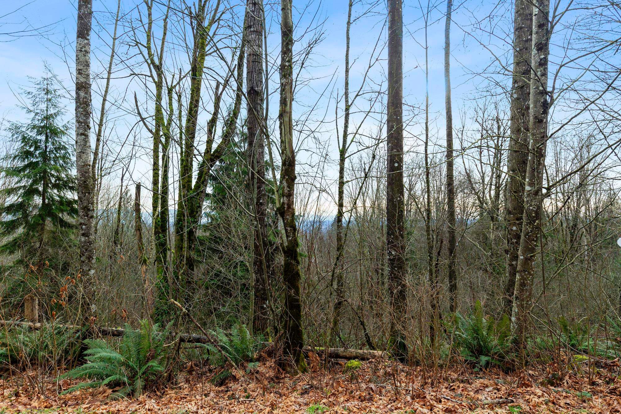 









30990


Olson

Avenue,
Mission,







BC
V4S 1E8

