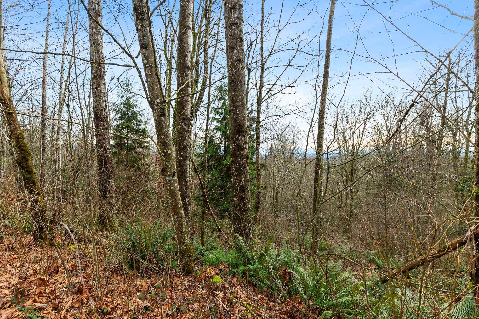 









30990


Olson

Avenue,
Mission,







BC
V4S 1E8

