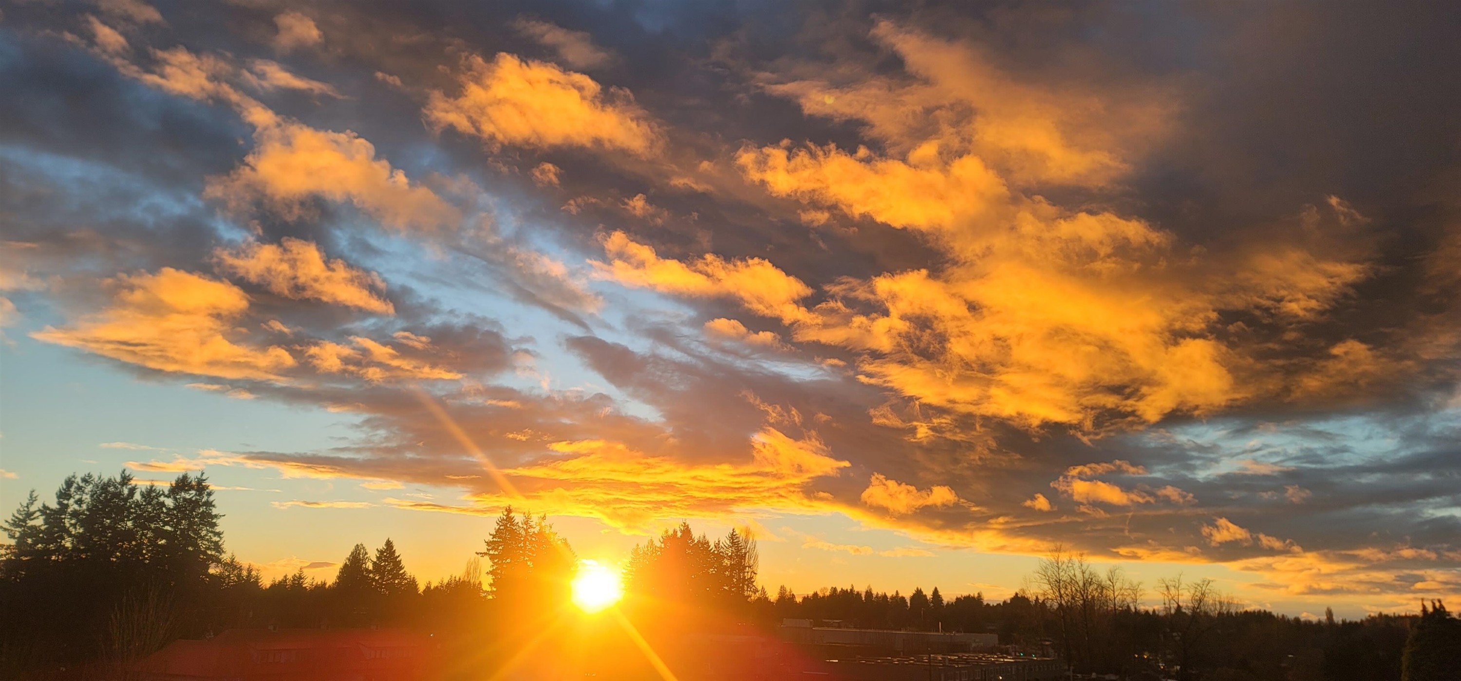 









27218


Aldergrove Town Center

Drive, 516,
Langley,




BC
V4W 0E4

