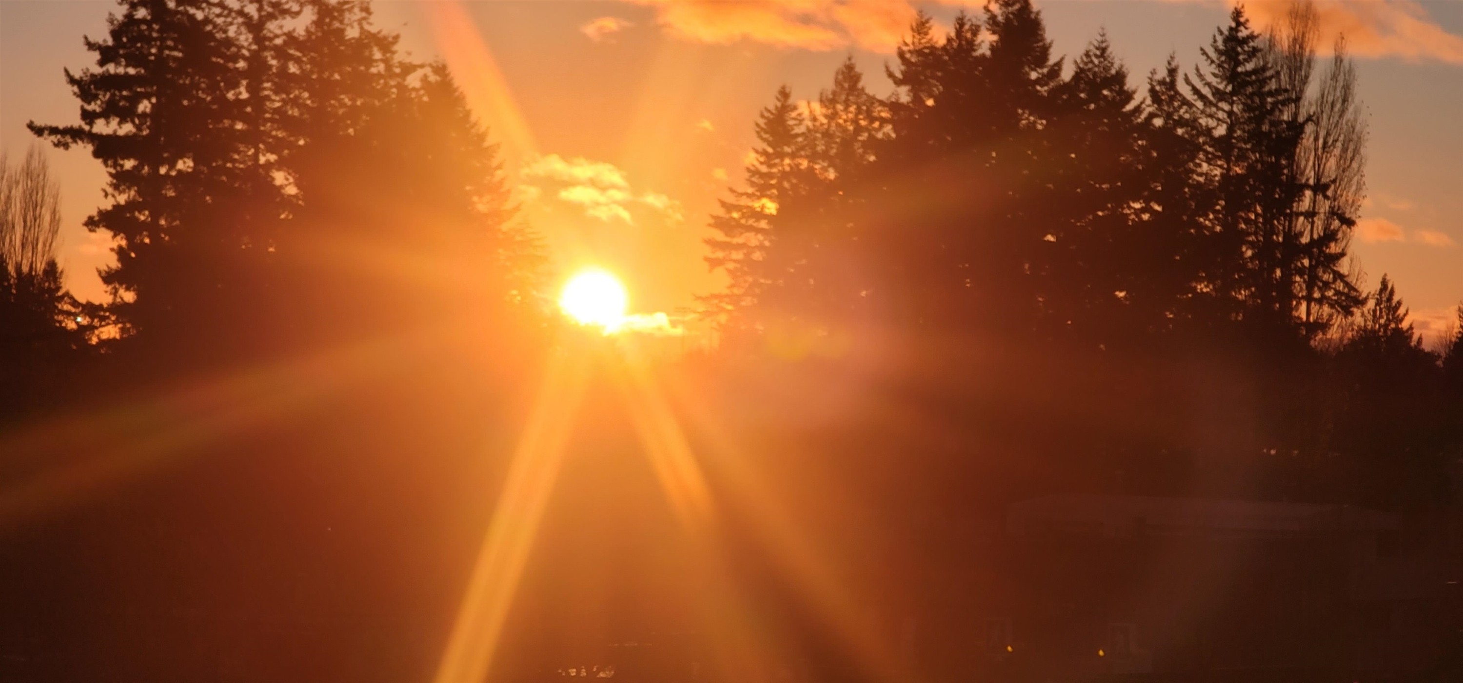 









27218


Aldergrove Town Center

Drive, 516,
Langley,




BC
V4W 0E4

