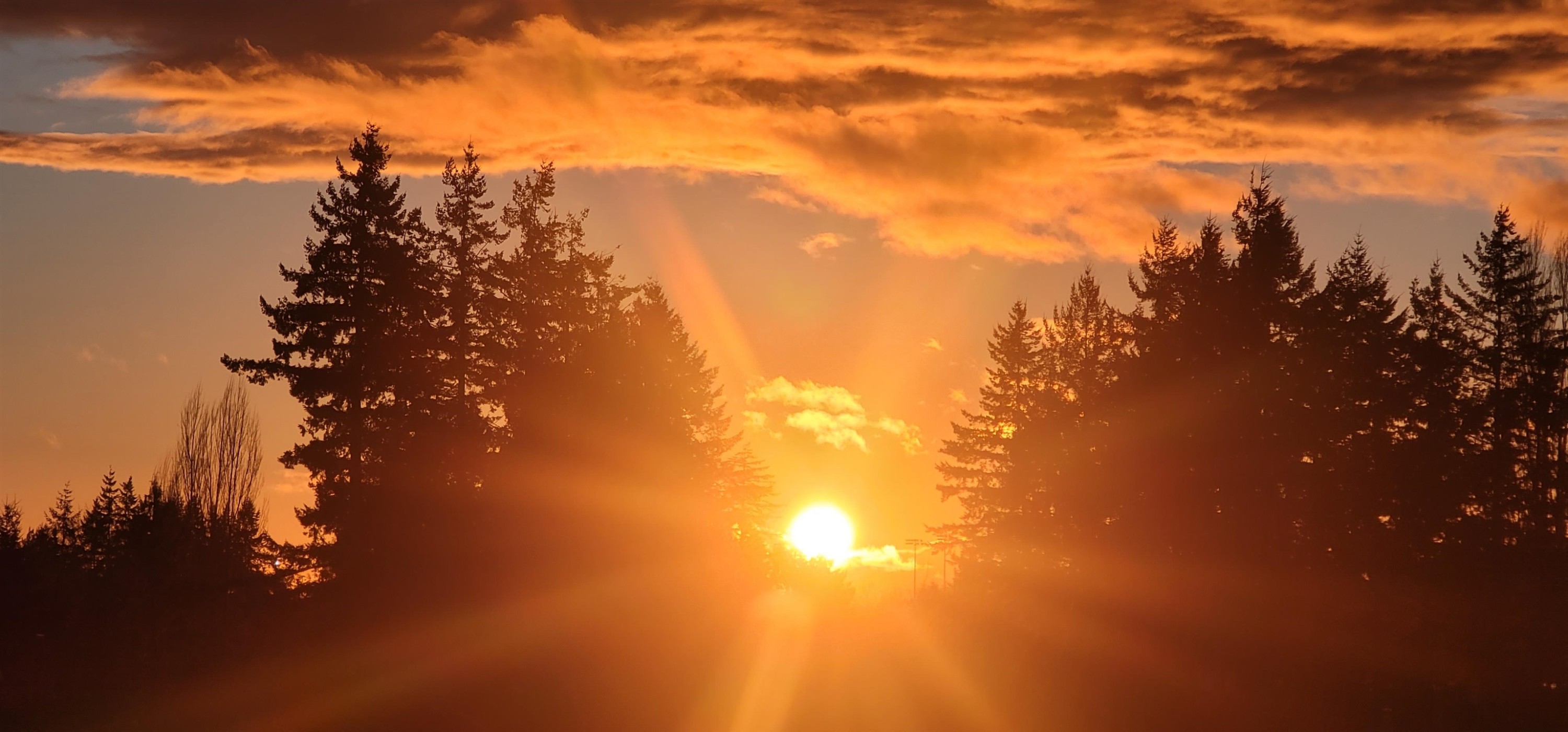 









27218


Aldergrove Town Center

Drive, 516,
Langley,




BC
V4W 0E4

