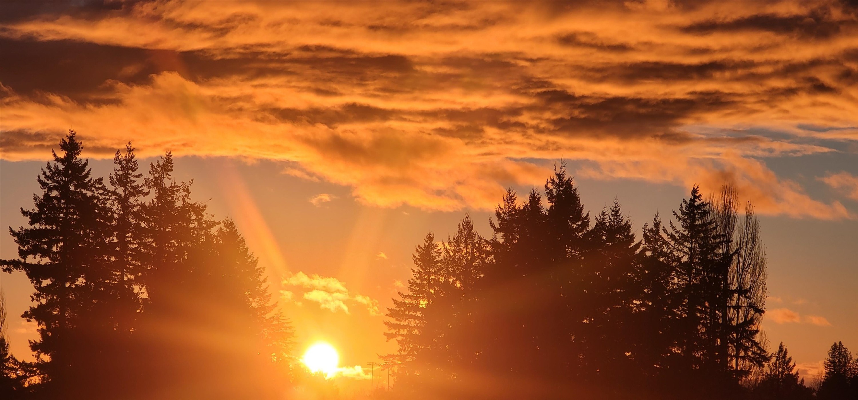 









27218


Aldergrove Town Center

Drive, 516,
Langley,




BC
V4W 0E4

