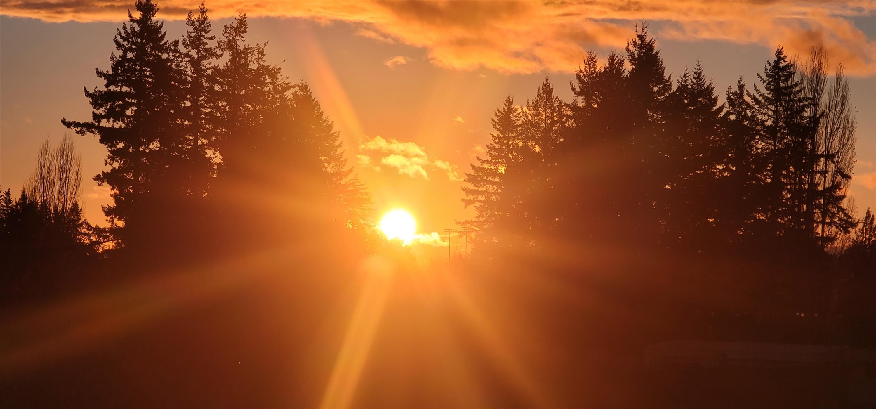 









27218


Aldergrove Town Center

Drive, 516,
Langley,




BC
V4W 0E4

