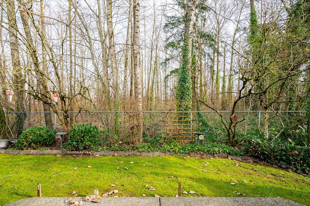 









18939


65

Avenue, 30,
Surrey,




BC
V3S 8Y2

