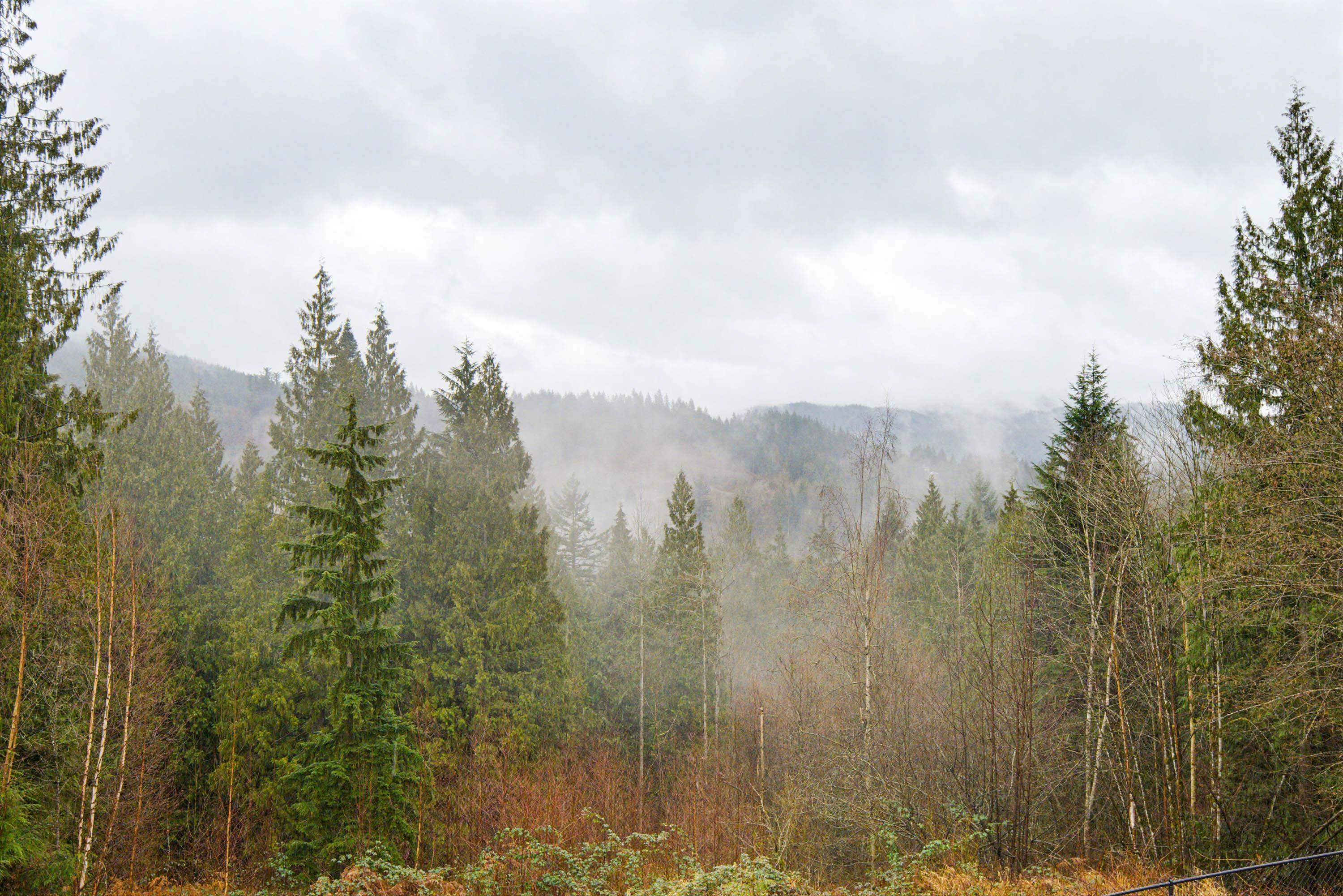 









31221


Silverhill

Avenue,
Mission,




BC
V4S 1G8

