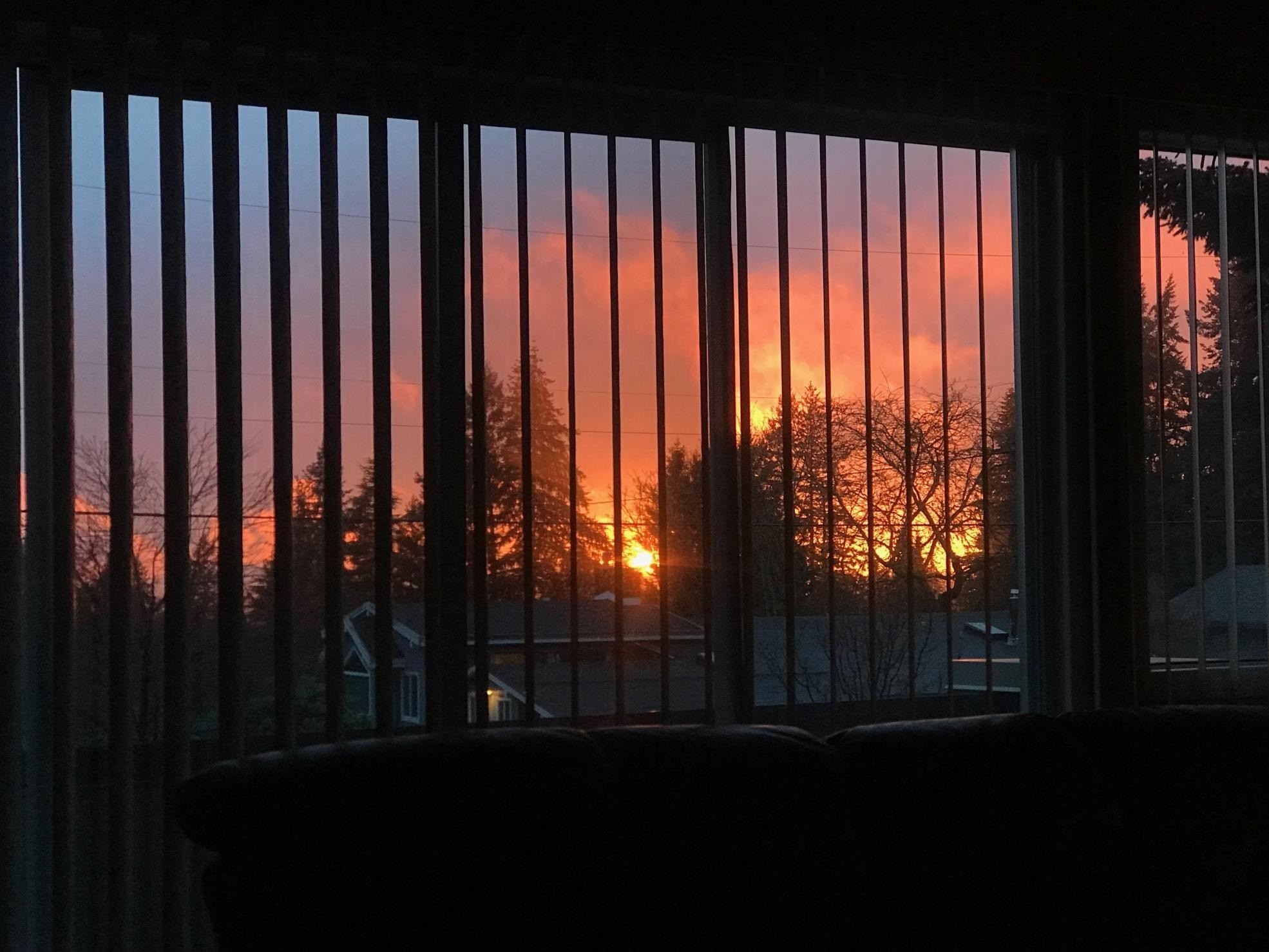 









6572


Kempson

Crescent,
Delta,




BC
V4E 1R5

