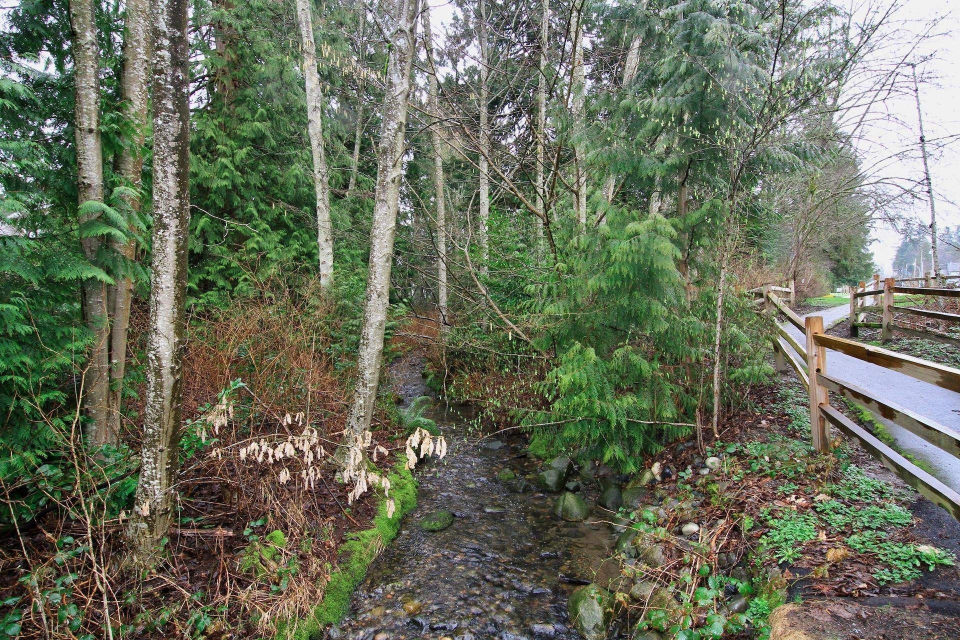 









6537


138

Street, 52,
Surrey,




BC
V3W 0C6

