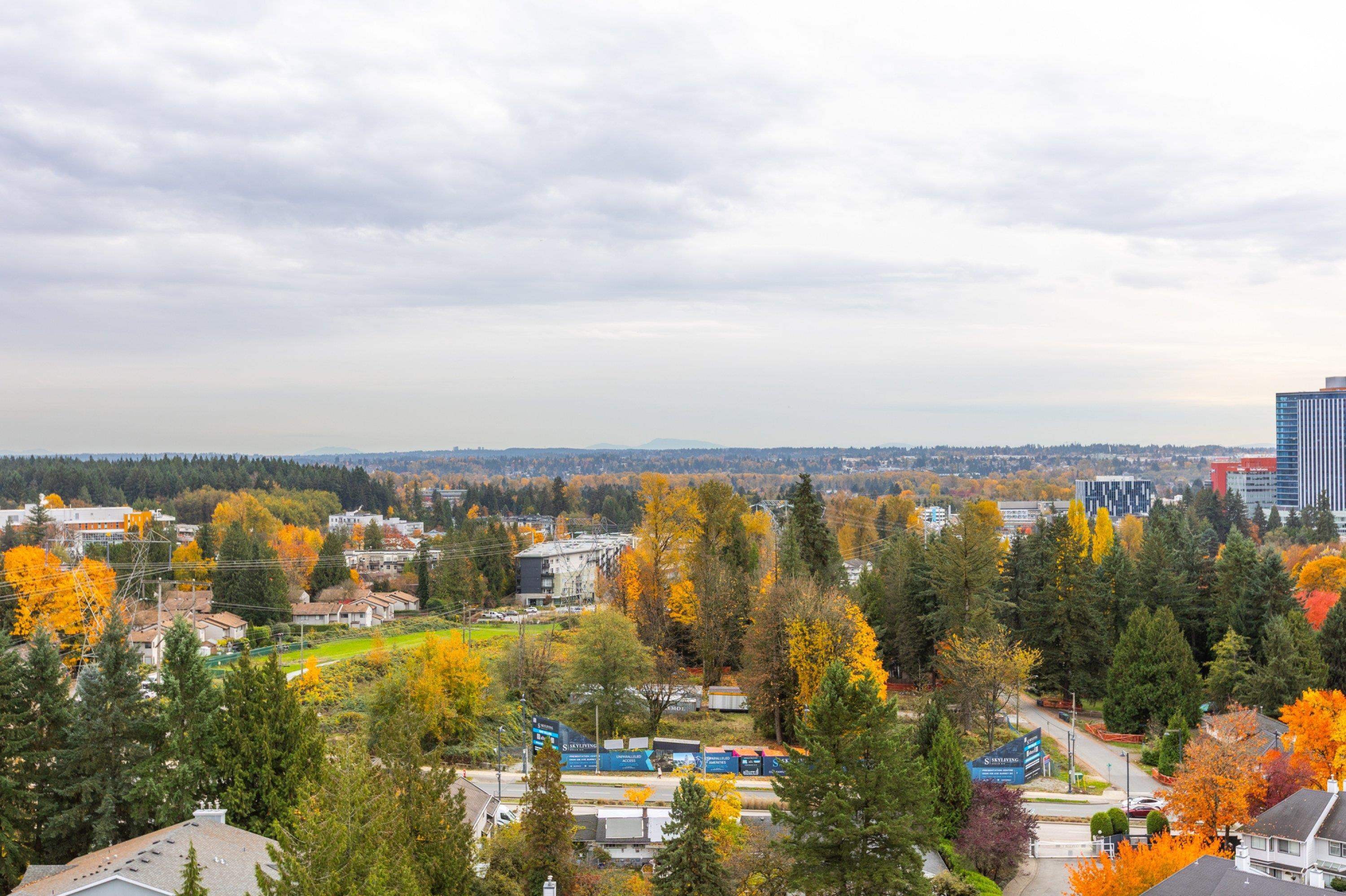 









13880


101

Avenue, 1504,
Surrey,




BC
V3T 5T1

