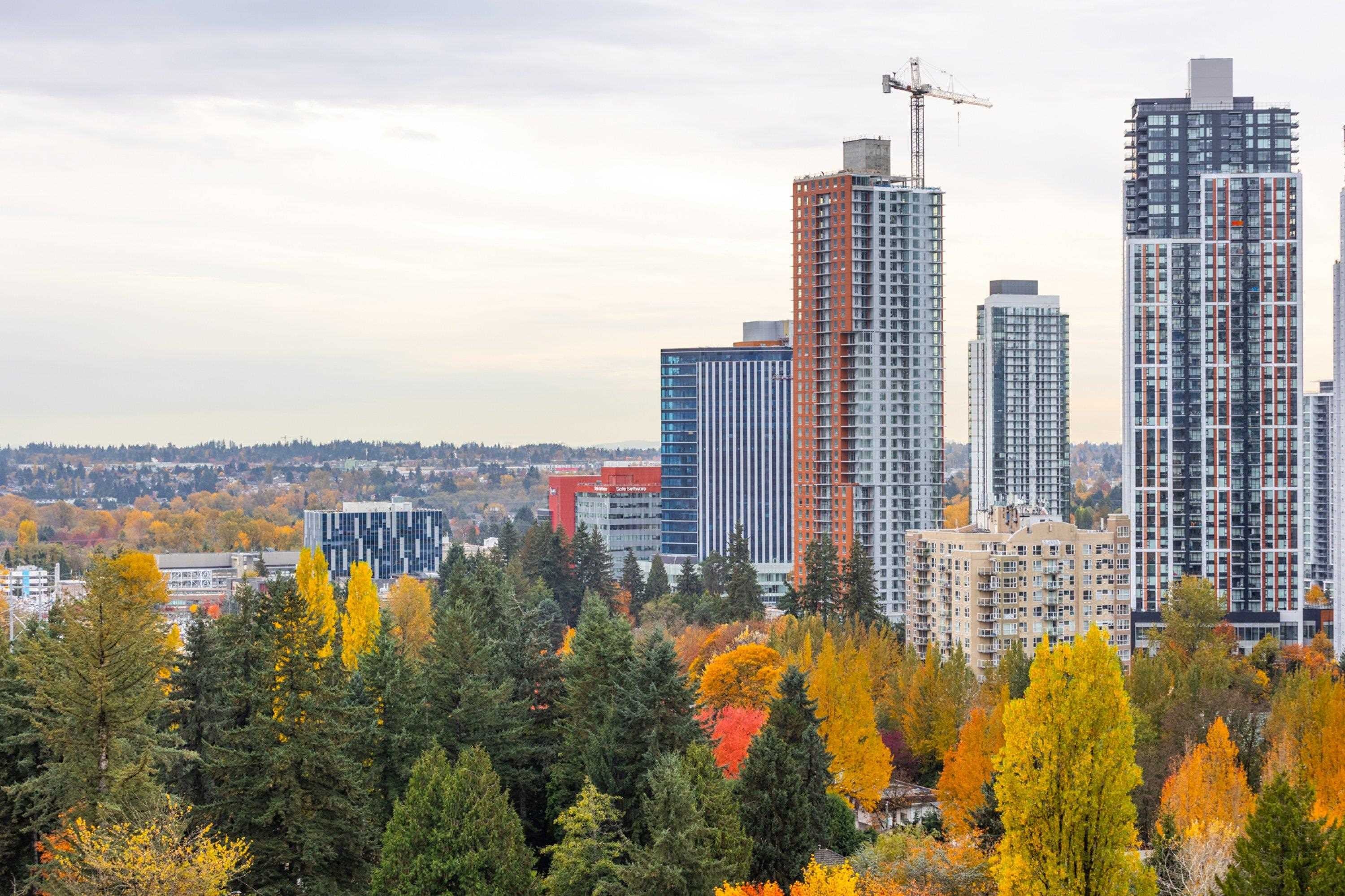 









13880


101

Avenue, 1504,
Surrey,




BC
V3T 5T1

