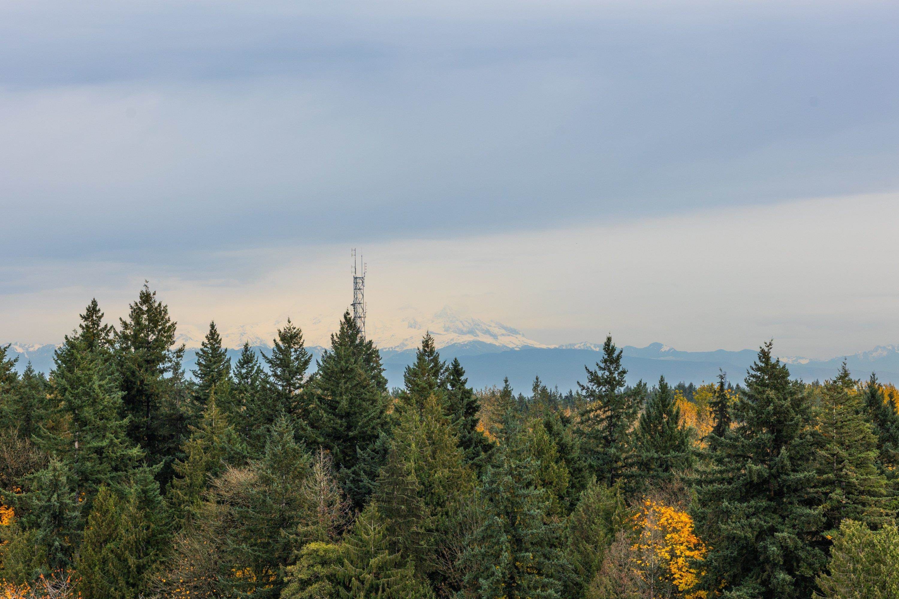 









13880


101

Avenue, 1504,
Surrey,




BC
V3T 5T1


