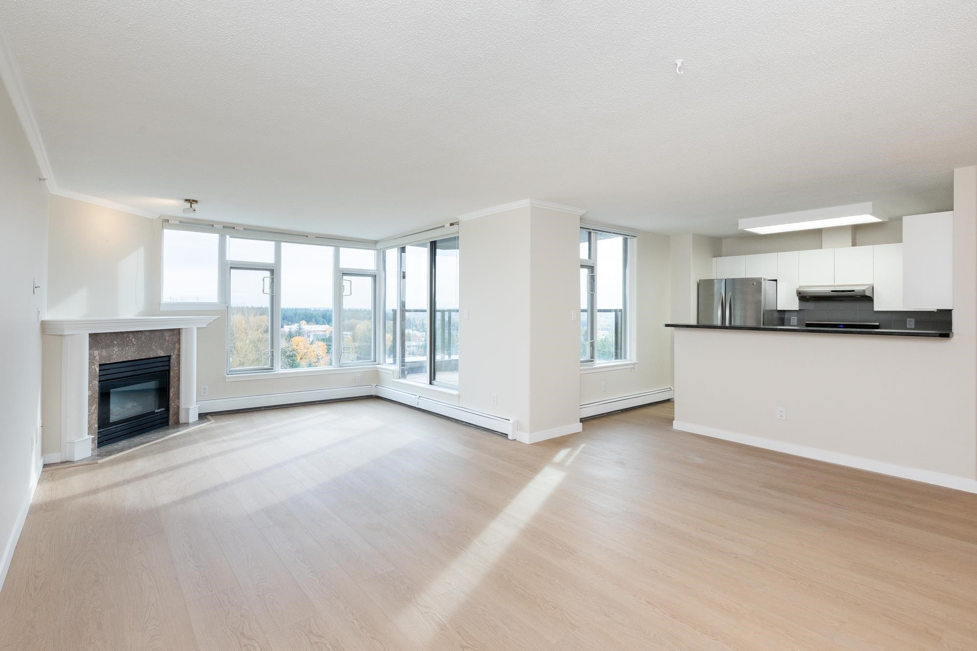 









13880


101

Avenue, 1504,
Surrey,




BC
V3T 5T1

