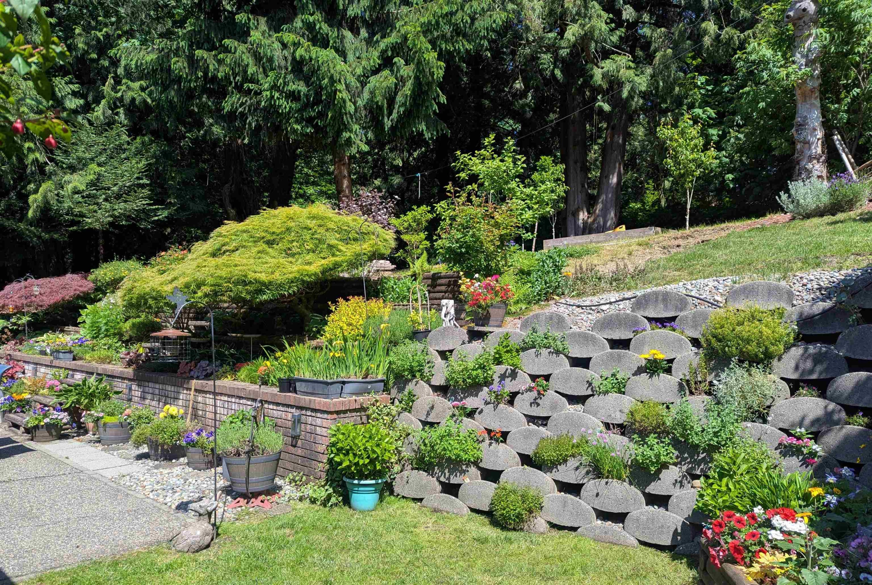 









5102


219a

Street,
Langley,




BC
V3A 8P8

