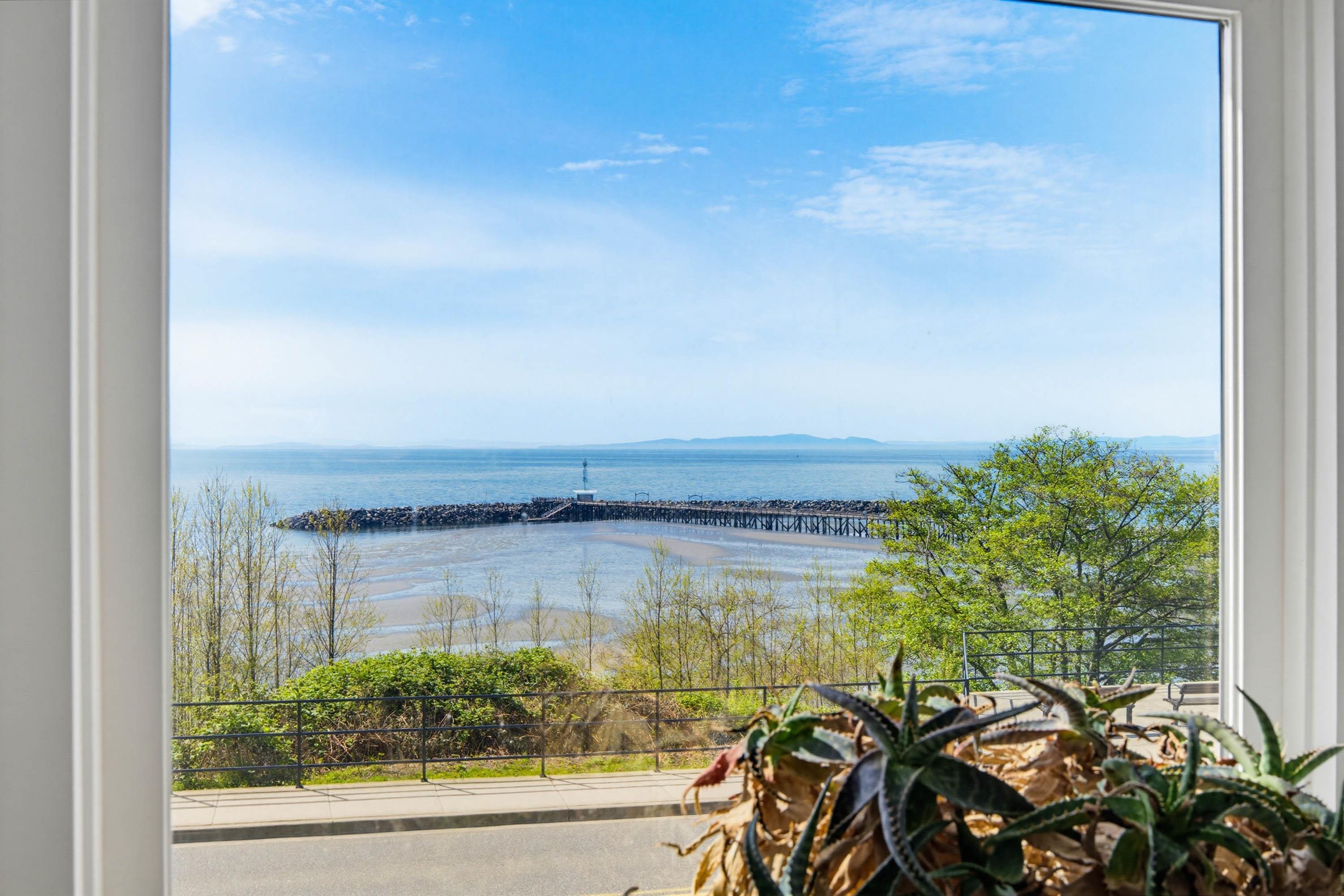 









15165


Marine

Drive, 105,
White Rock,




BC
V4B 1C5

