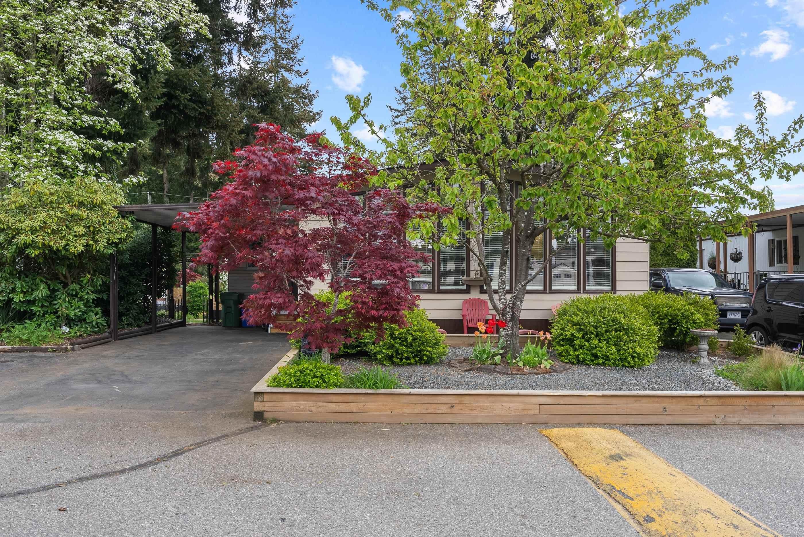 









3665


244

Street, 120,
Langley,




BC
V2Z 1N1

