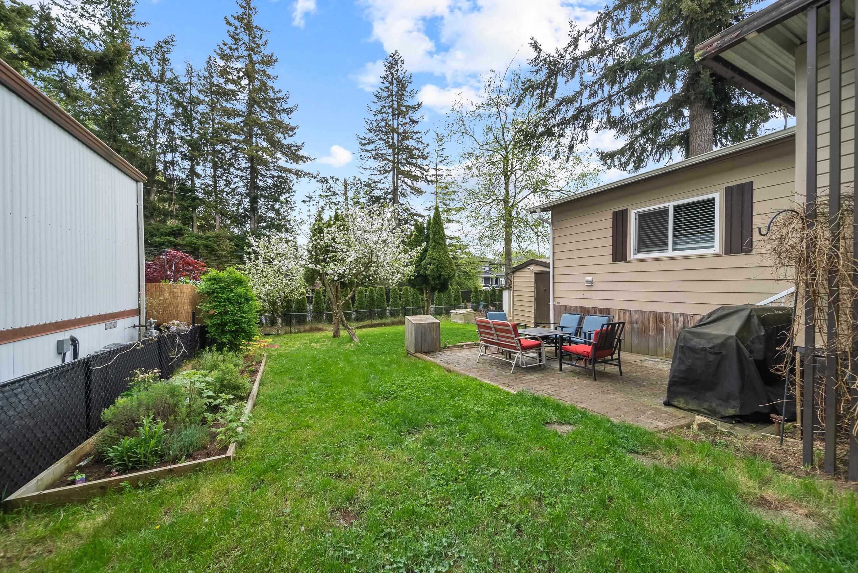 









3665


244

Street, 120,
Langley,




BC
V2Z 1N1

