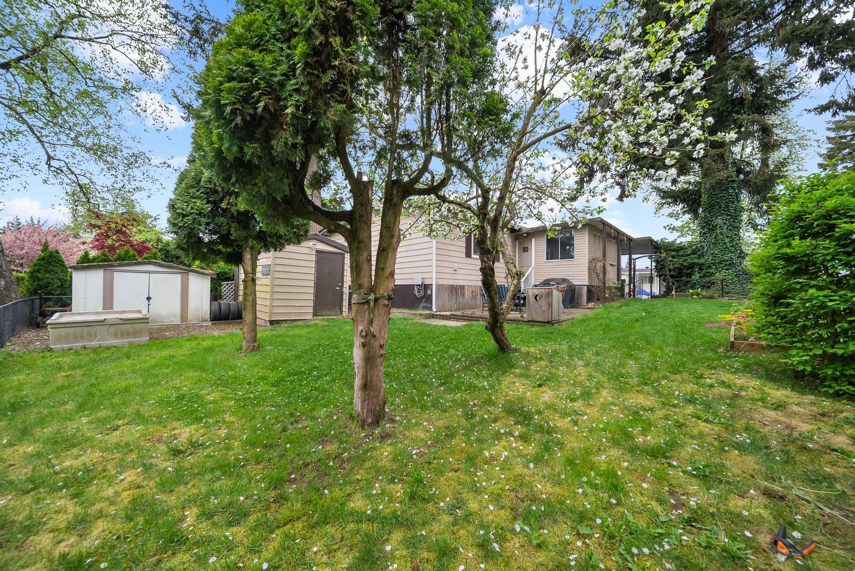 









3665


244

Street, 120,
Langley,




BC
V2Z 1N1

