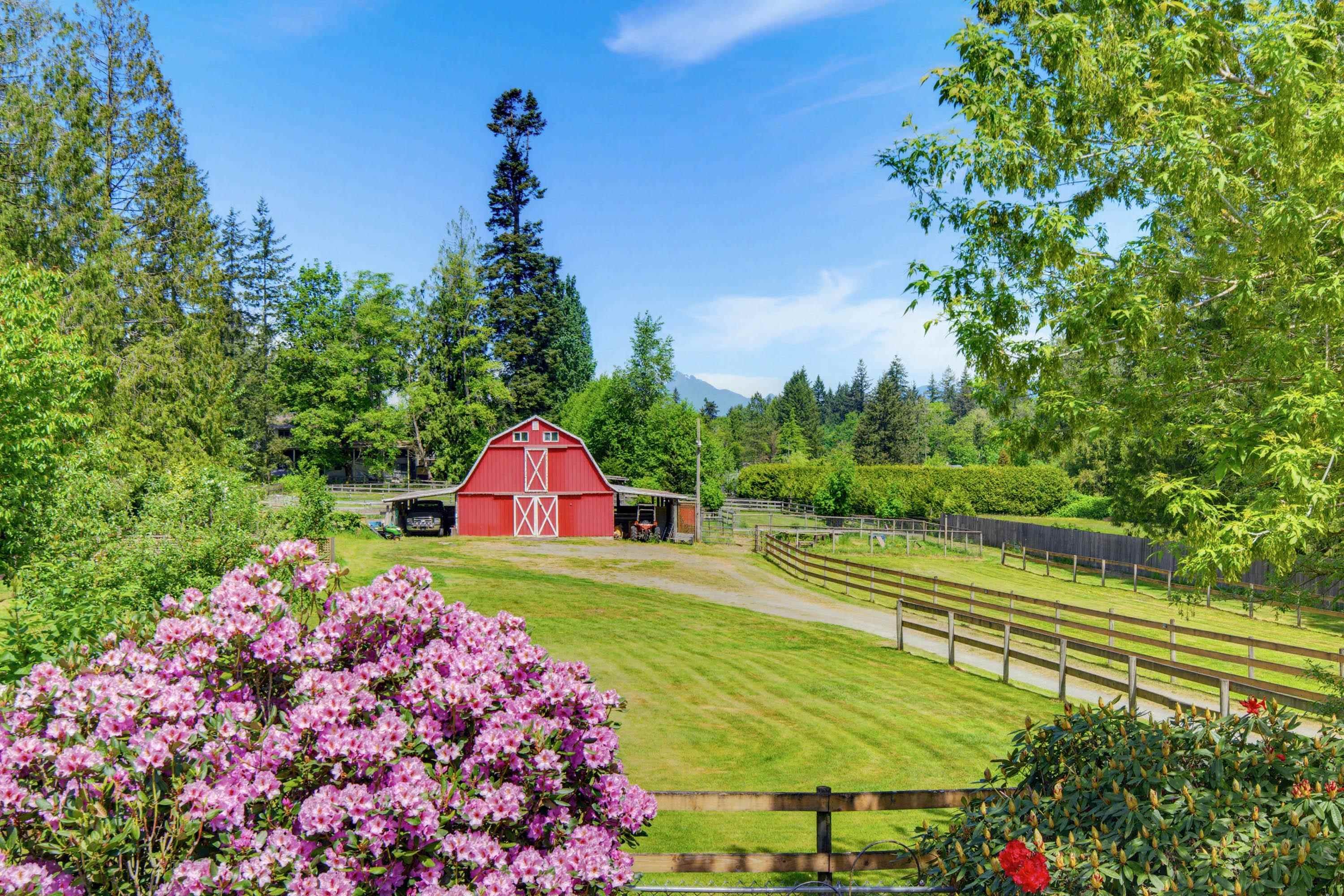 









24105


61

Avenue,
Langley,




BC
V2Y 1M5

