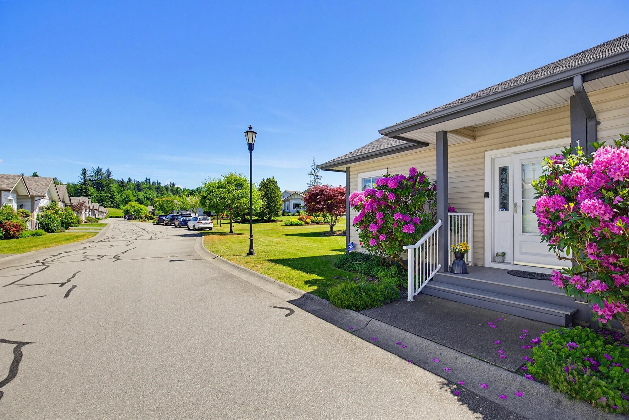 









33751


7

Avenue, 146,
Mission,




BC
V2V 7C2

