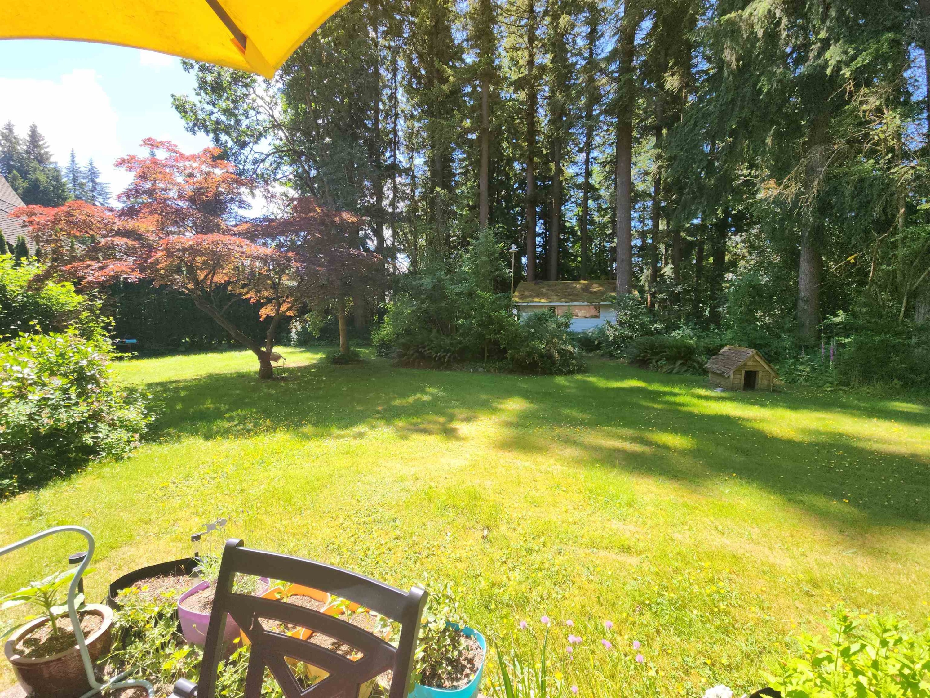 









20176


28

Avenue,
Langley,




BC
V2Z 1X2

