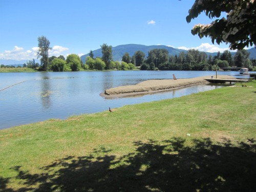 Featured Listing Photo 