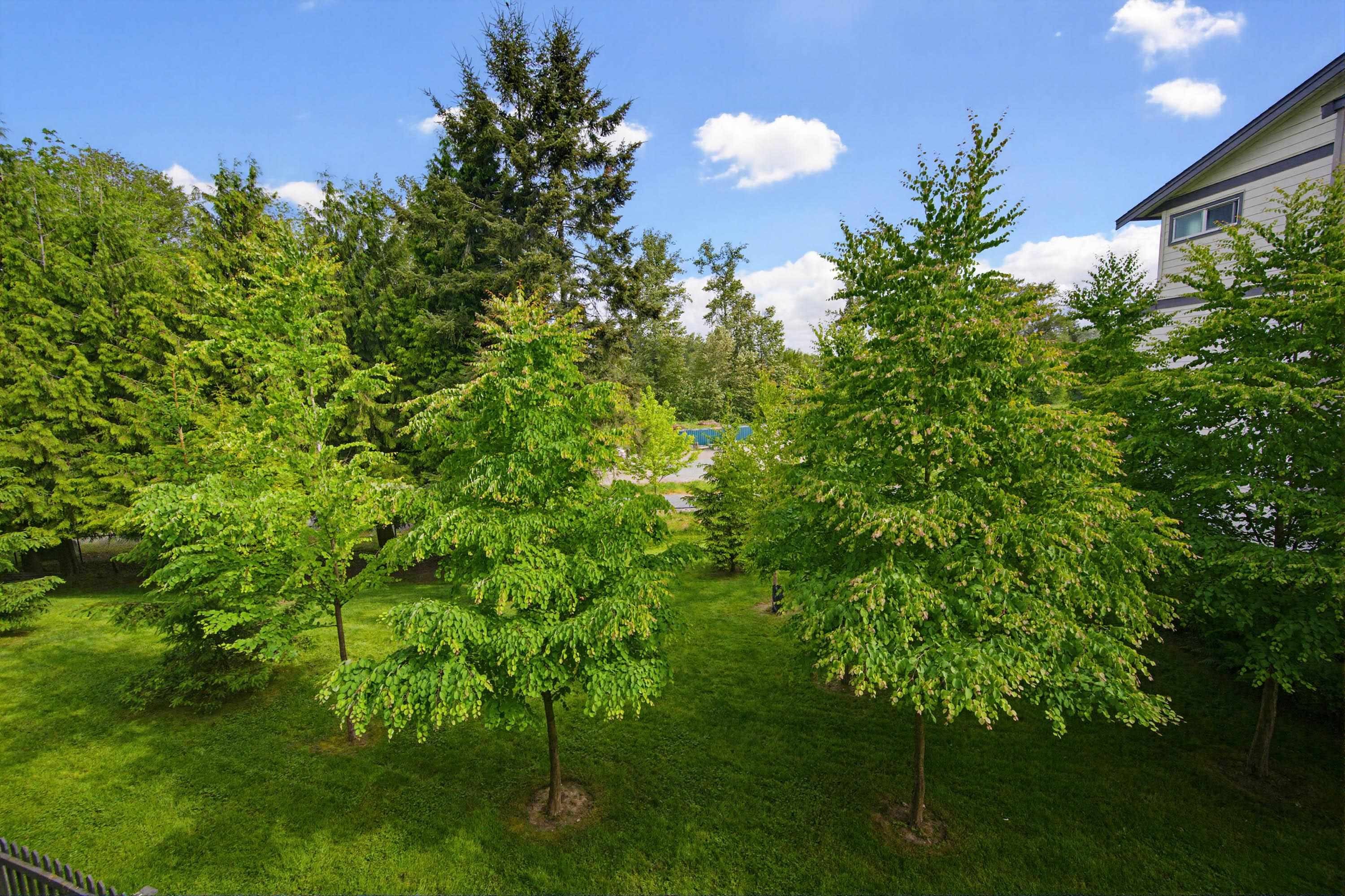 









15665


Mountain View

Drive, 75,
Surrey,




BC
V3Z 0W8

