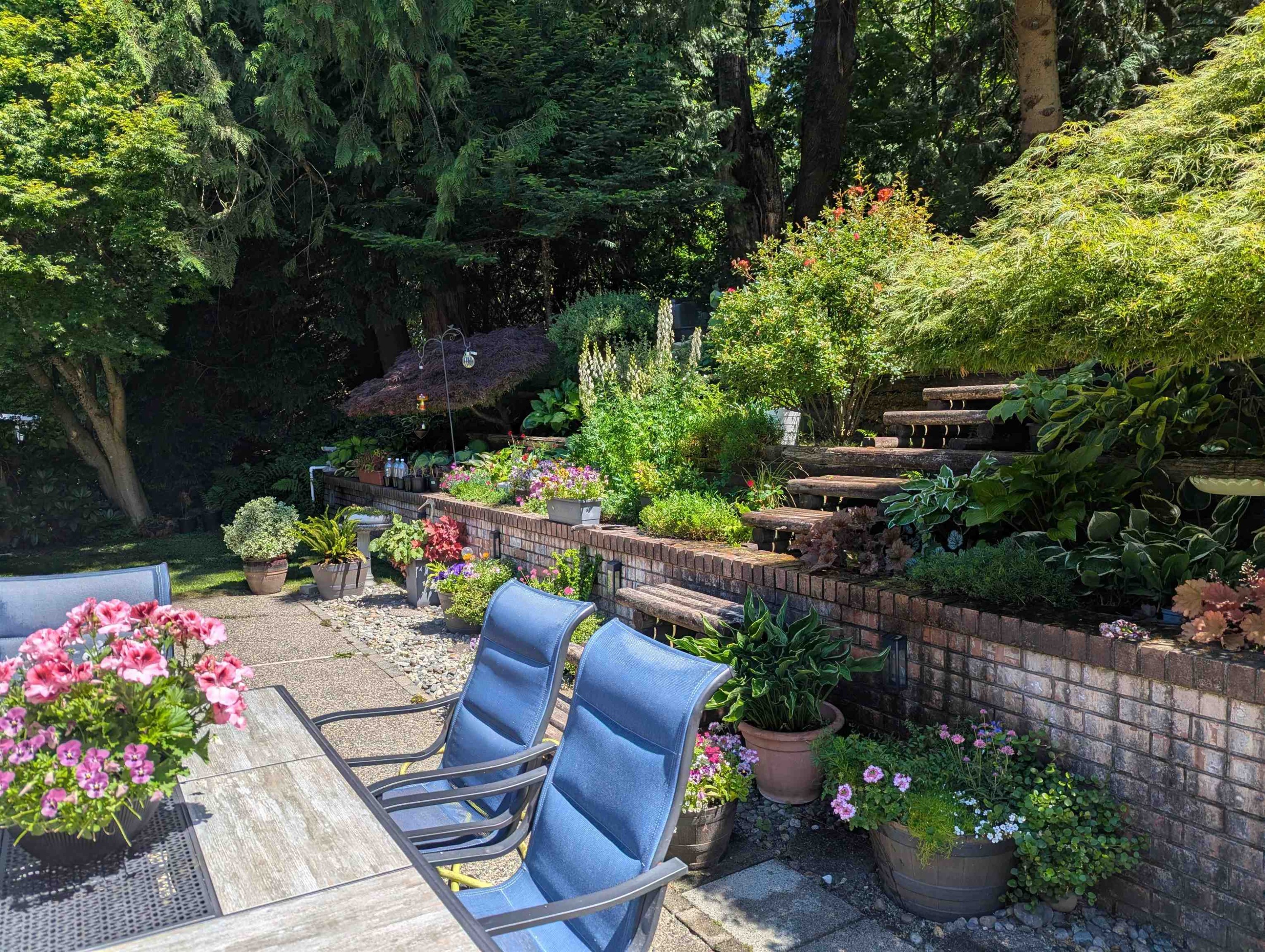 









5102


219a

Street,
Langley,




BC
V3A 8P8

