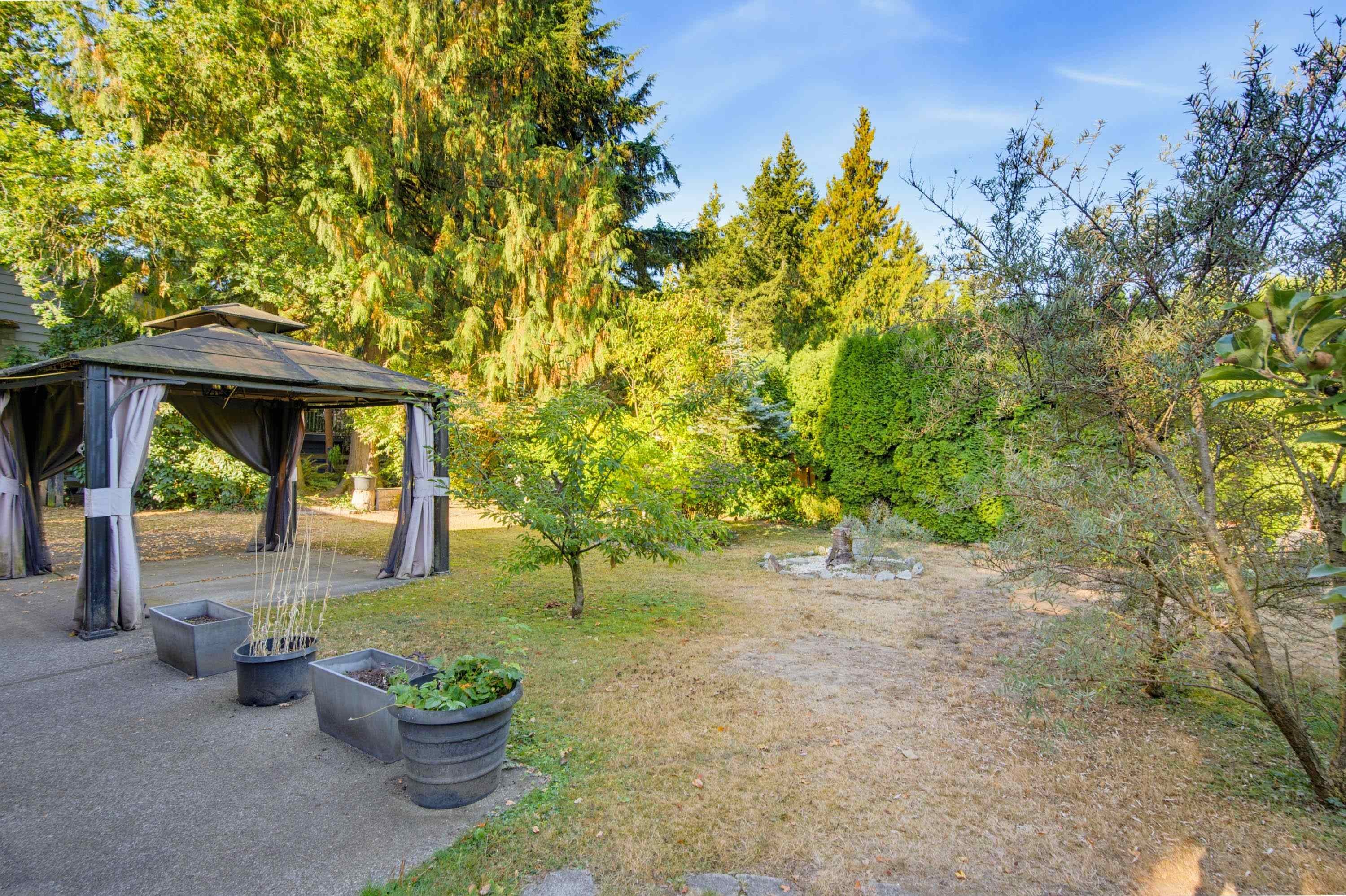 









4611


203a

Street,
Langley,




BC
V3A 5W2

