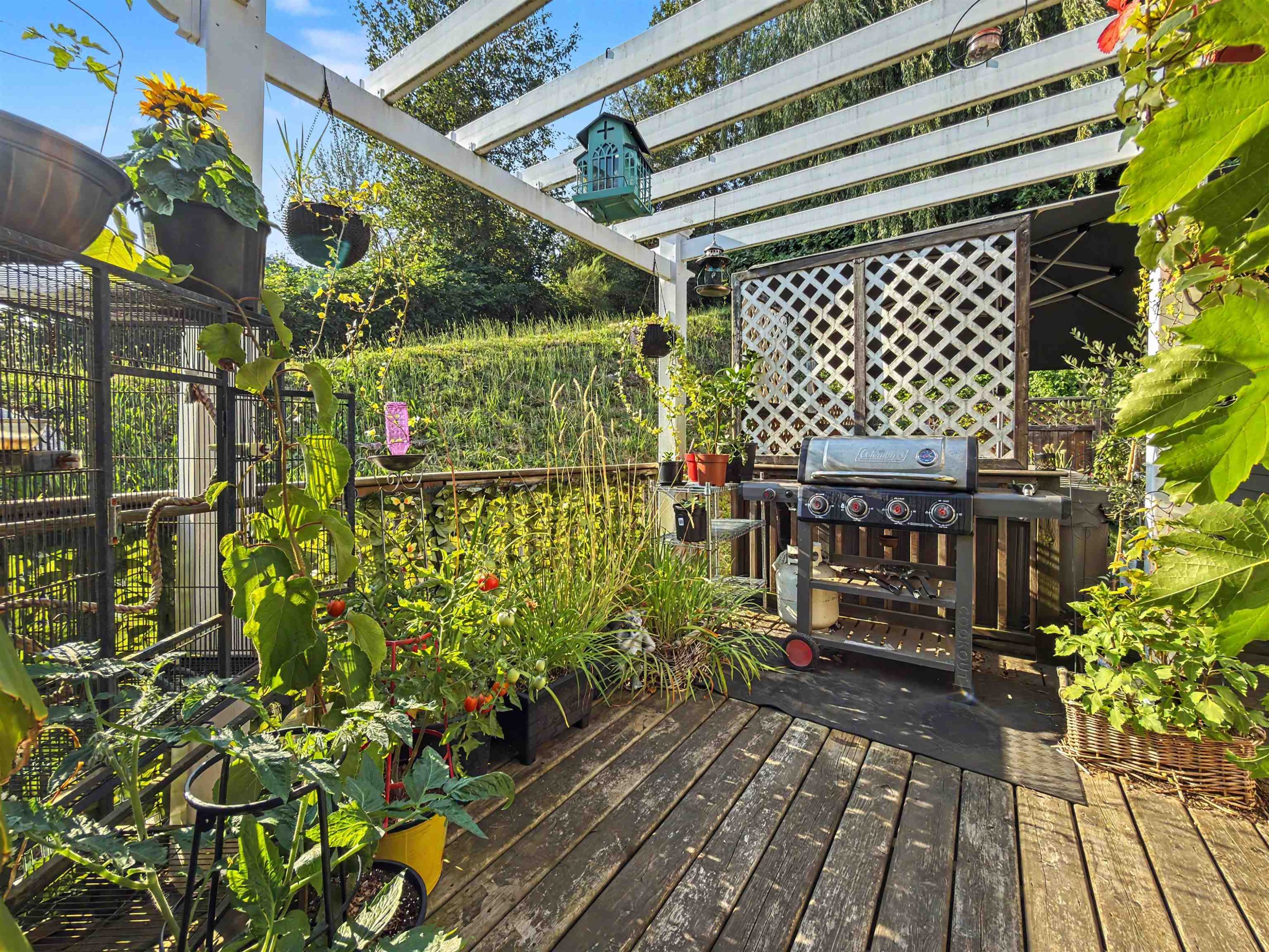 









32151


Lougheed

Highway, 10,
Mission,




BC
V2V 1A3

