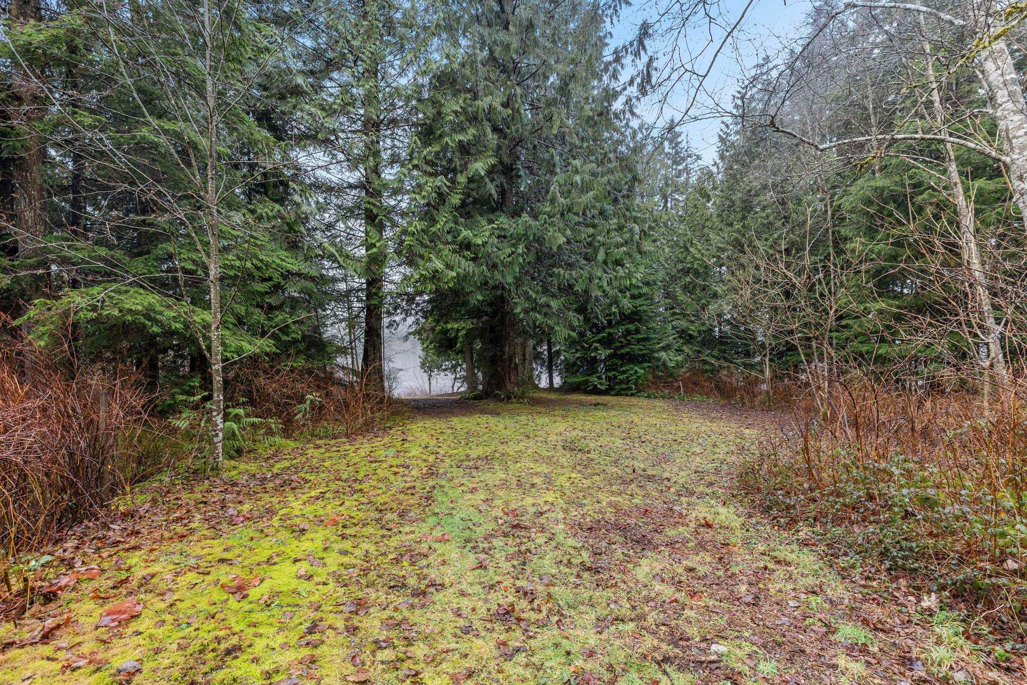 









14157


Sylvester

Road,
Mission,




BC
V2V 0B1

