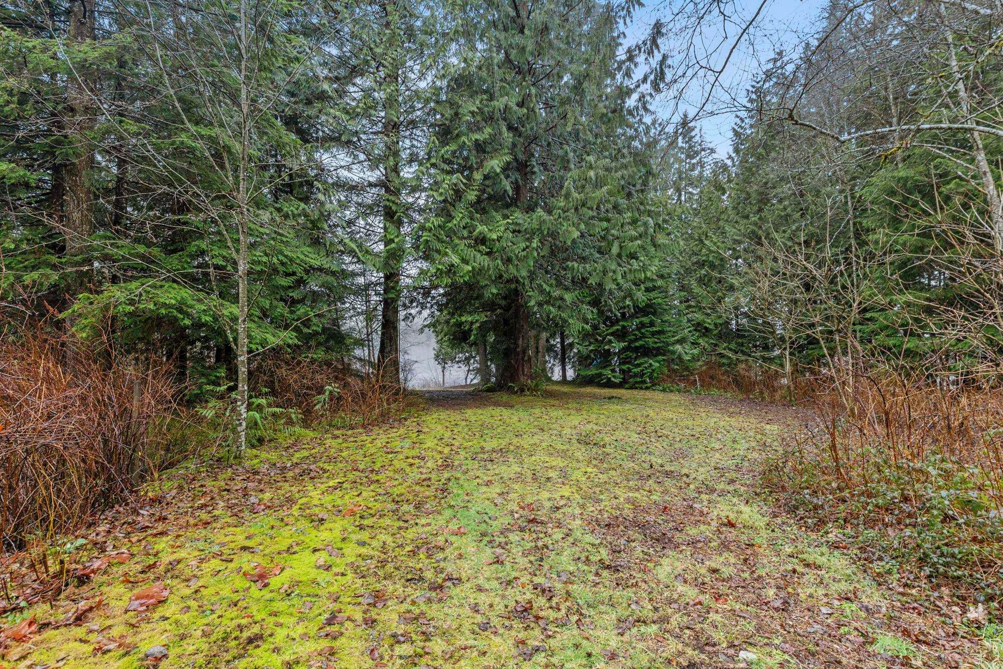 









14157


Sylvester

Road,
Mission,




BC
V2V 0B1

