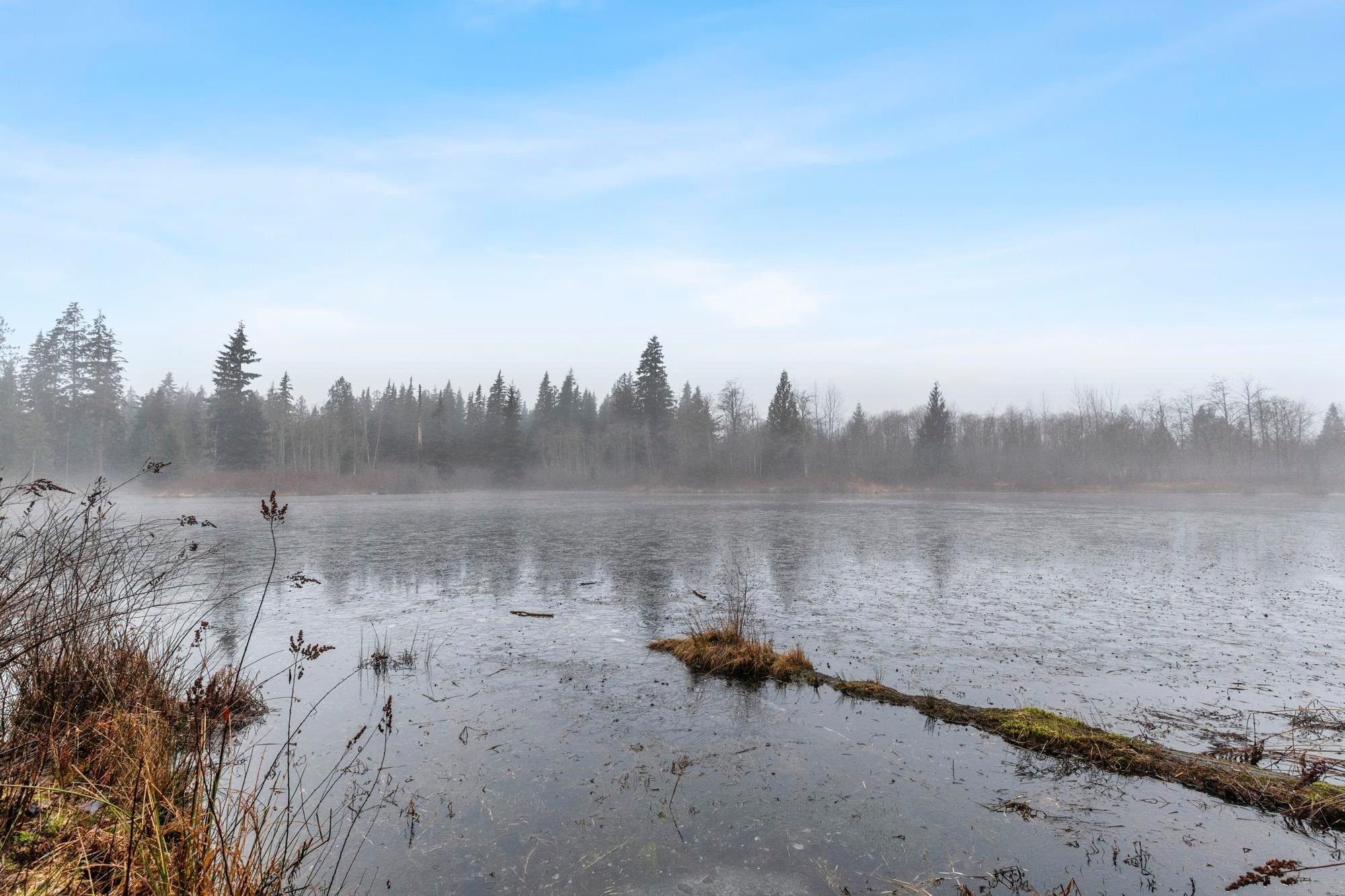 









14157


Sylvester

Road,
Mission,




BC
V2V 0B1

