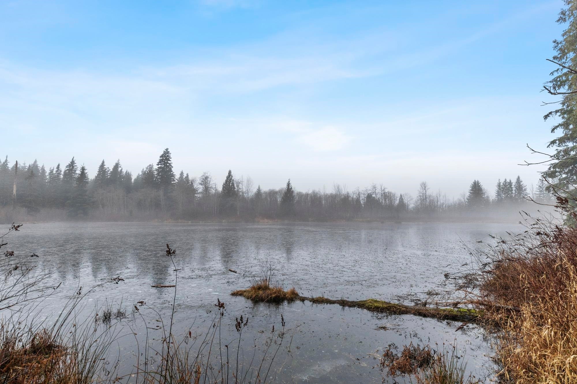









14157


Sylvester

Road,
Mission,




BC
V2V 0B1

