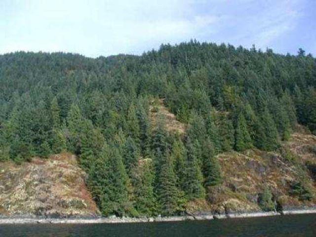 









3


Indian Arm

,
Port Moody,







BC
V3N 3M2


